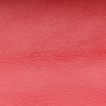 Gancino Red velour GG-21H248ガンチーノ レッド ベロア GG-21H248