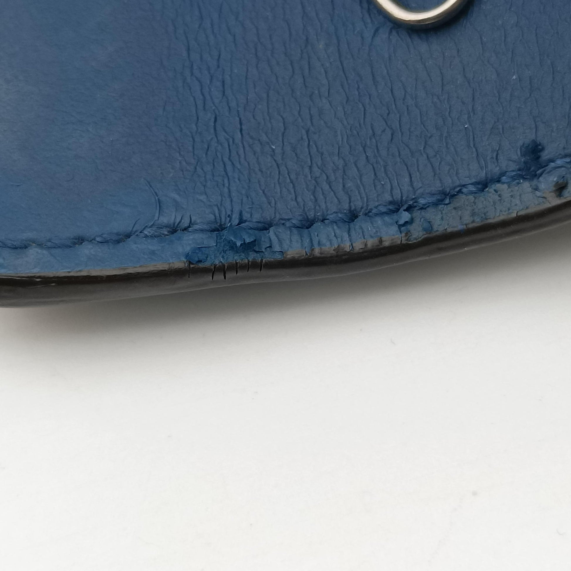 Dionysus Multicolour PVC coated canvasxLeather 404141 ディオニュソス マルチカラー PVCコーティングキャンバスxレザー 404141 