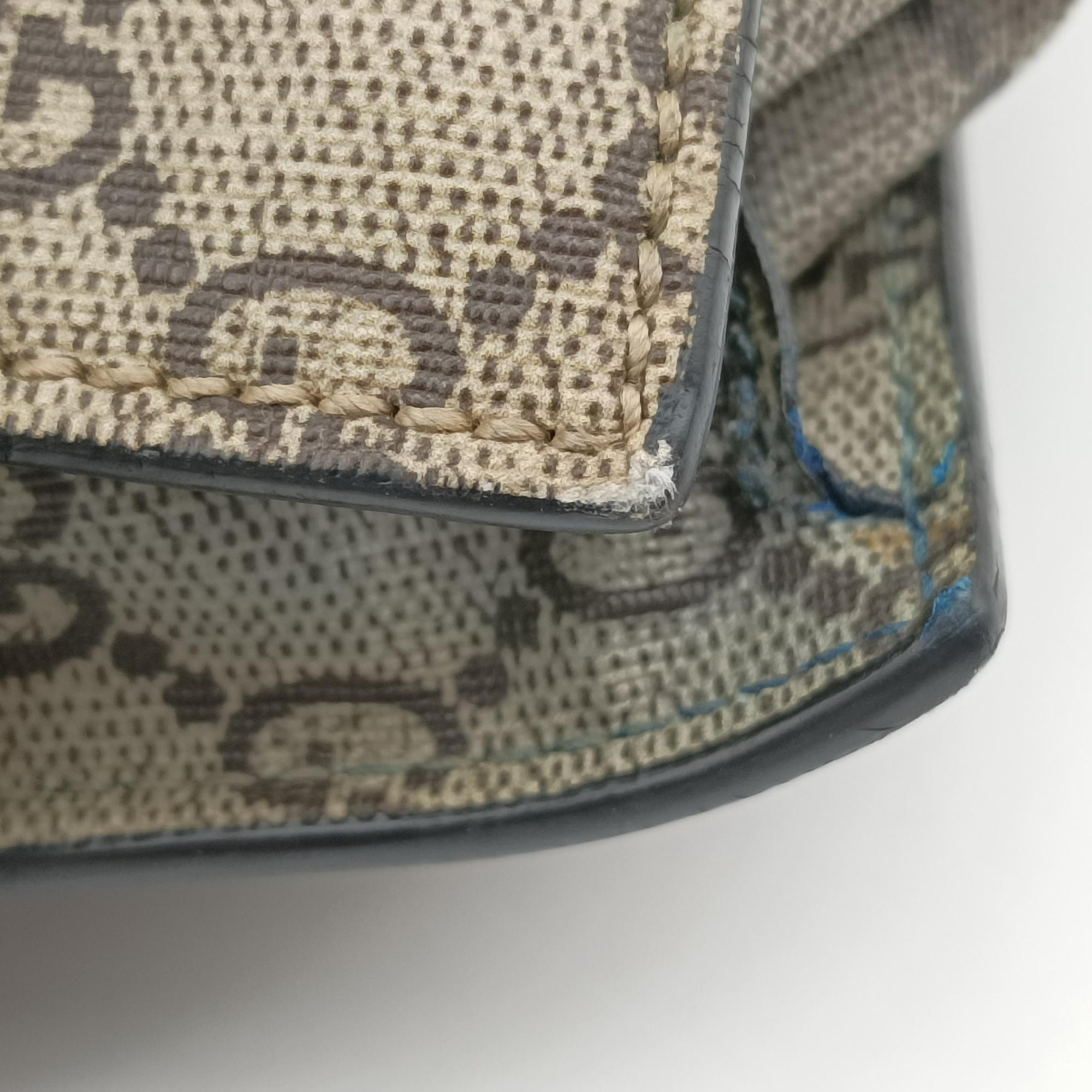 GG Supreme Bee Brown PVC coated canvas 450950 D021957137GGスプリーム キングスネーク ブラウン PVCコーティングキャンバス 450950 D021957137