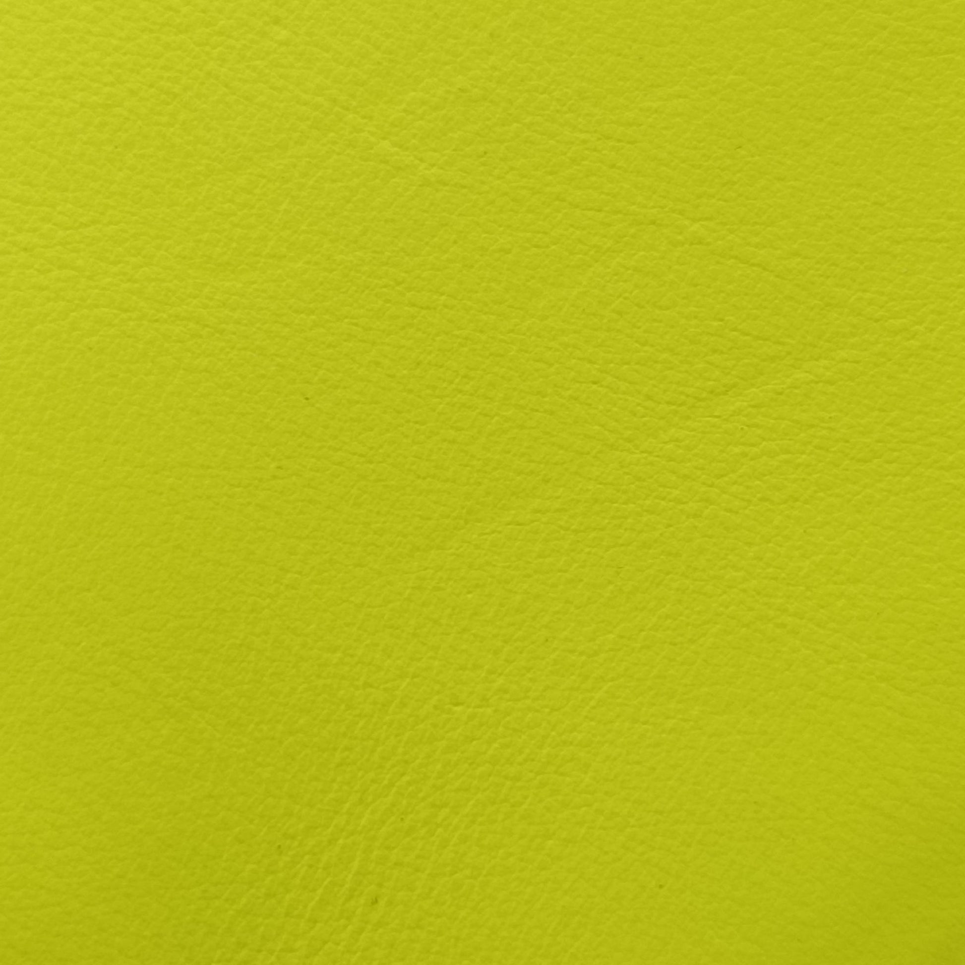 SAC DE JOUR yellow green Leather 340778 GNR340778.0414サックドジュールナノ イエローグリーン レザー 340778 GNR340778.0414