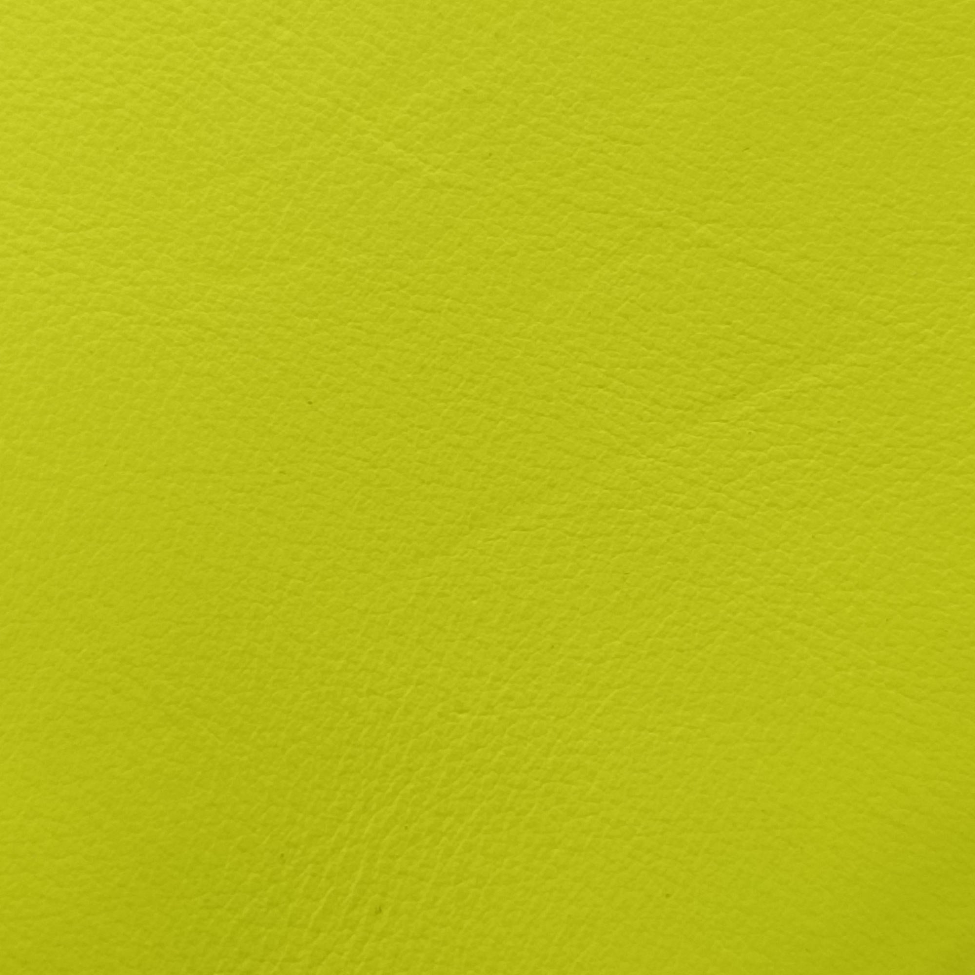 SAC DE JOUR yellow green Leather 340778 GNR340778.0414サックドジュールナノ イエローグリーン レザー 340778 GNR340778.0414
