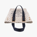 Plein Soleil Cabas PM AZUR Damier Canvas N41179 DU1102プランソレイユ カバPM アズール ダミエキャンバス N41179 DU1102