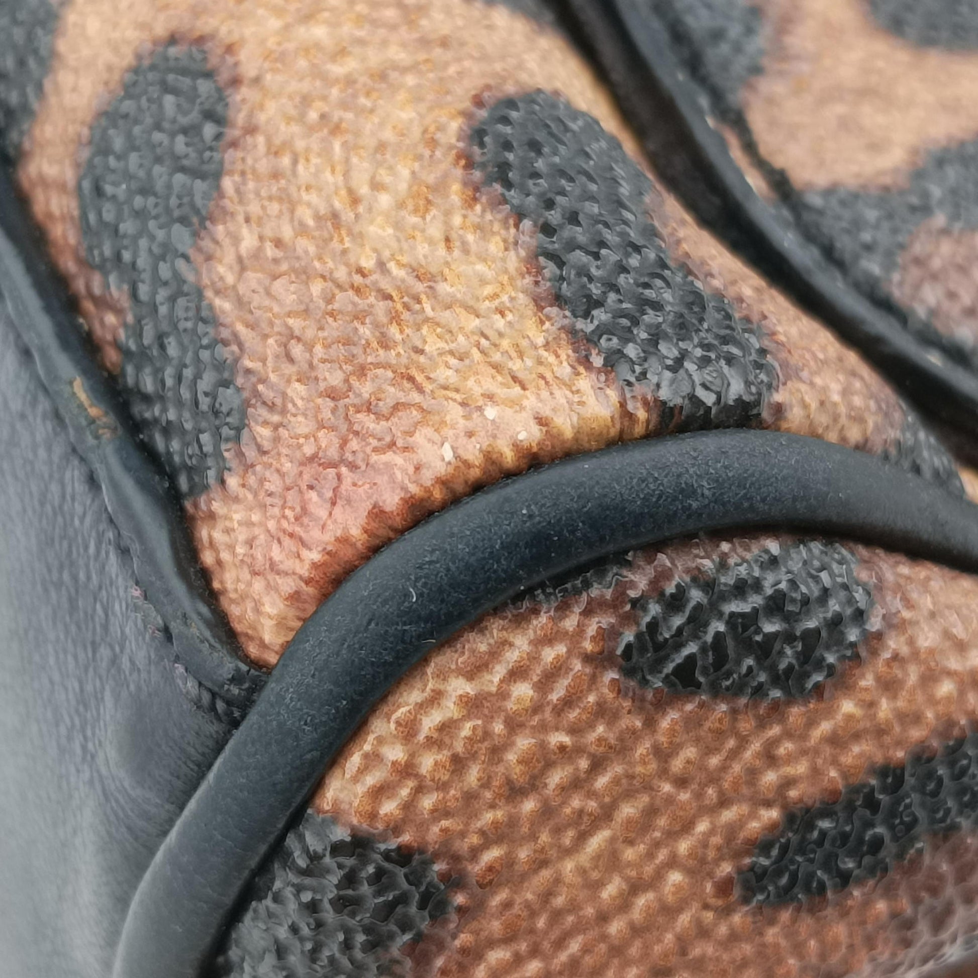SICILY Leopard Multicolour PVC coated canvas シシリー レオパード マルチカラー PVCコーティングキャンバス 