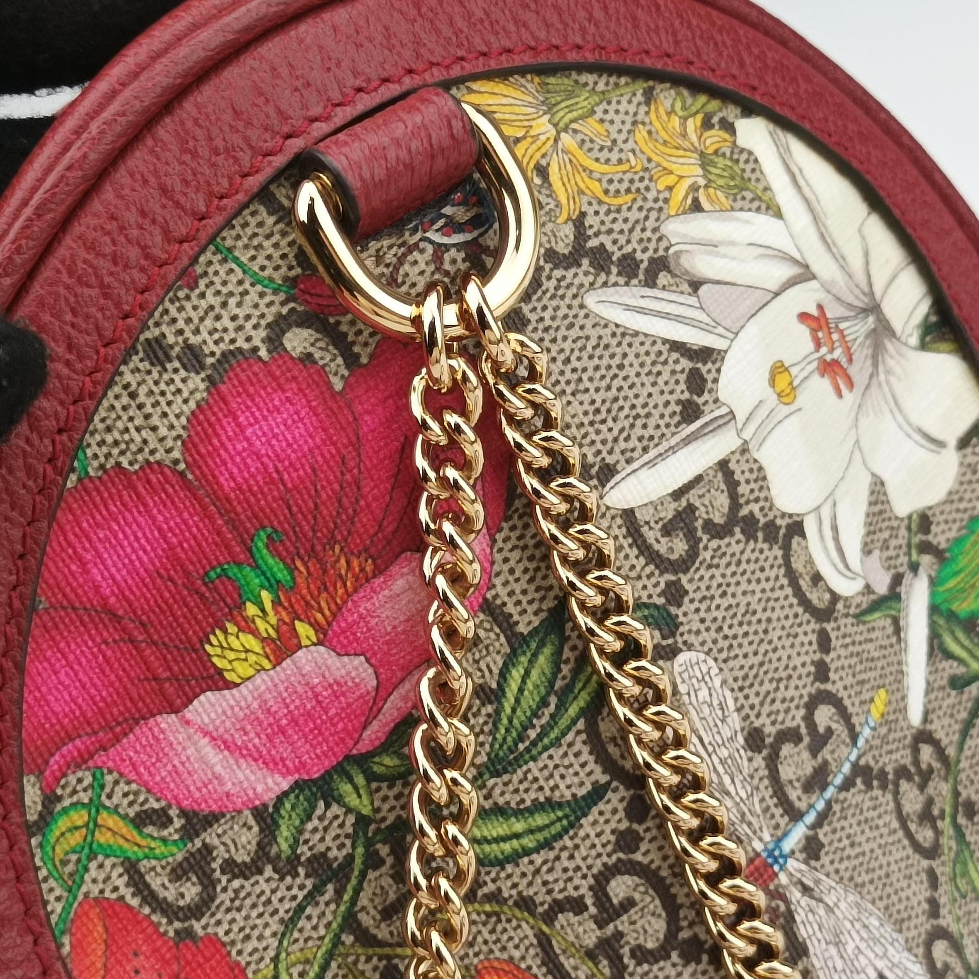 Ophidia Red×Multicolour PVC coated canvas×Leather 598661 オフィディア レッド×マルチカラー PVCコーティングキャンバス×レザー 598661 
