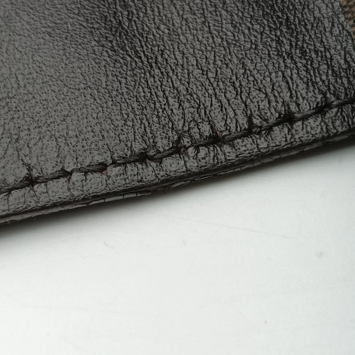Zucchino Brown Canvas 8BR036 2354/8BR036/JQ4/039ズッキーノ柄 ブラウン キャンバス 8BR036 2354/8BR036/JQ4/039