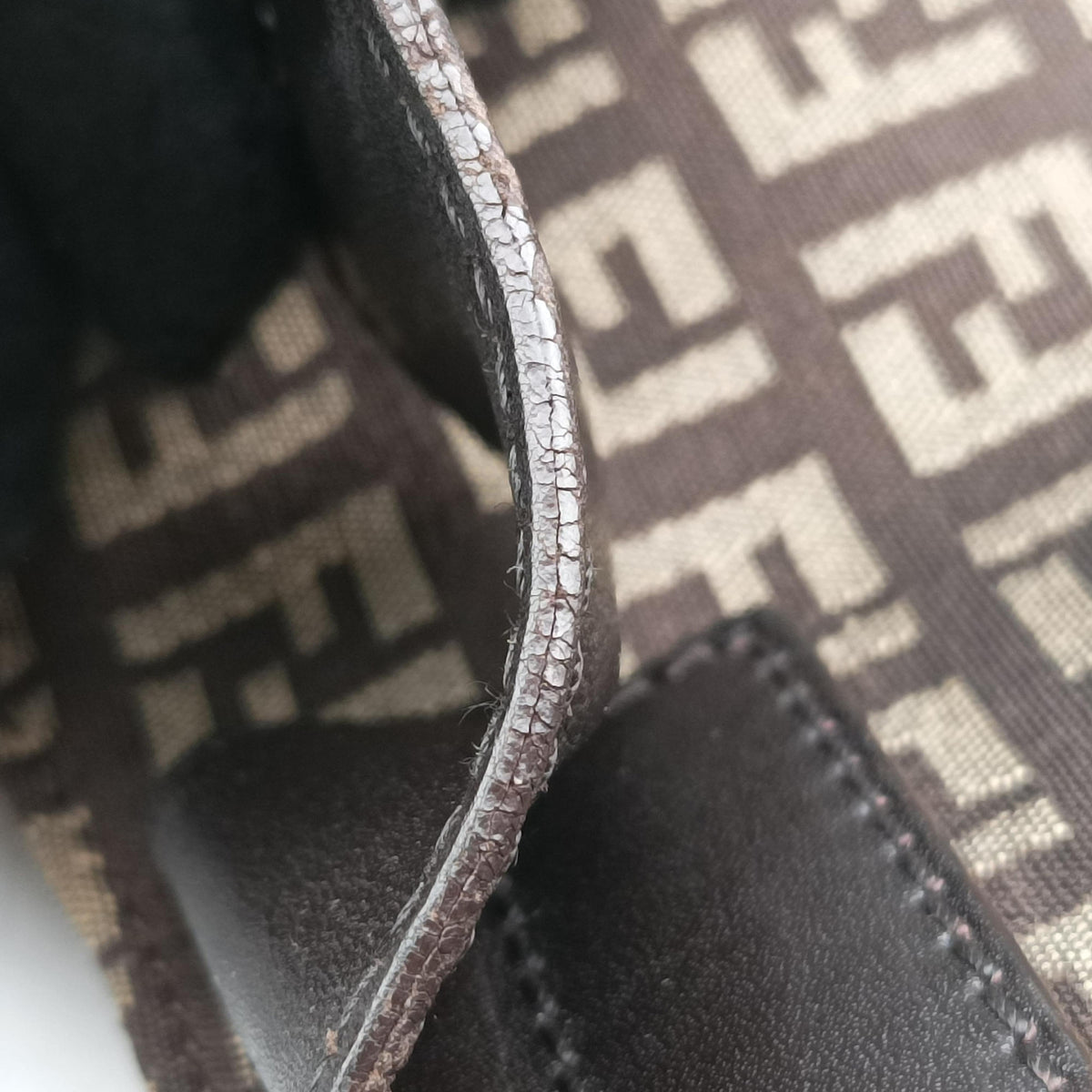 Zucchino Brown Canvas 8BR036 2354/8BR036/JQ4/039ズッキーノ柄 ブラウン キャンバス 8BR036 2354/8BR036/JQ4/039