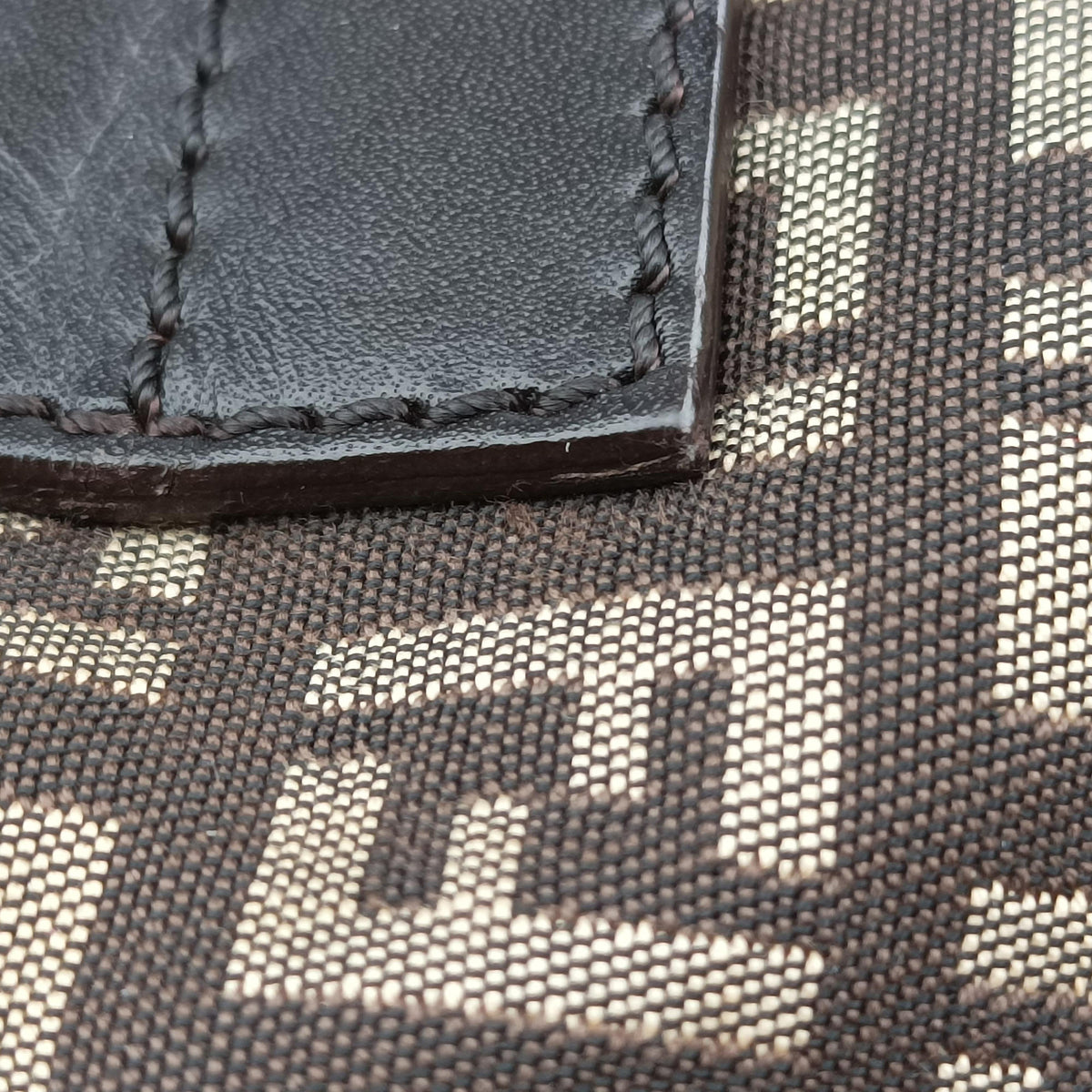 Zucchino Brown Canvas 8BR036 2354/8BR036/JQ4/039ズッキーノ柄 ブラウン キャンバス 8BR036 2354/8BR036/JQ4/039