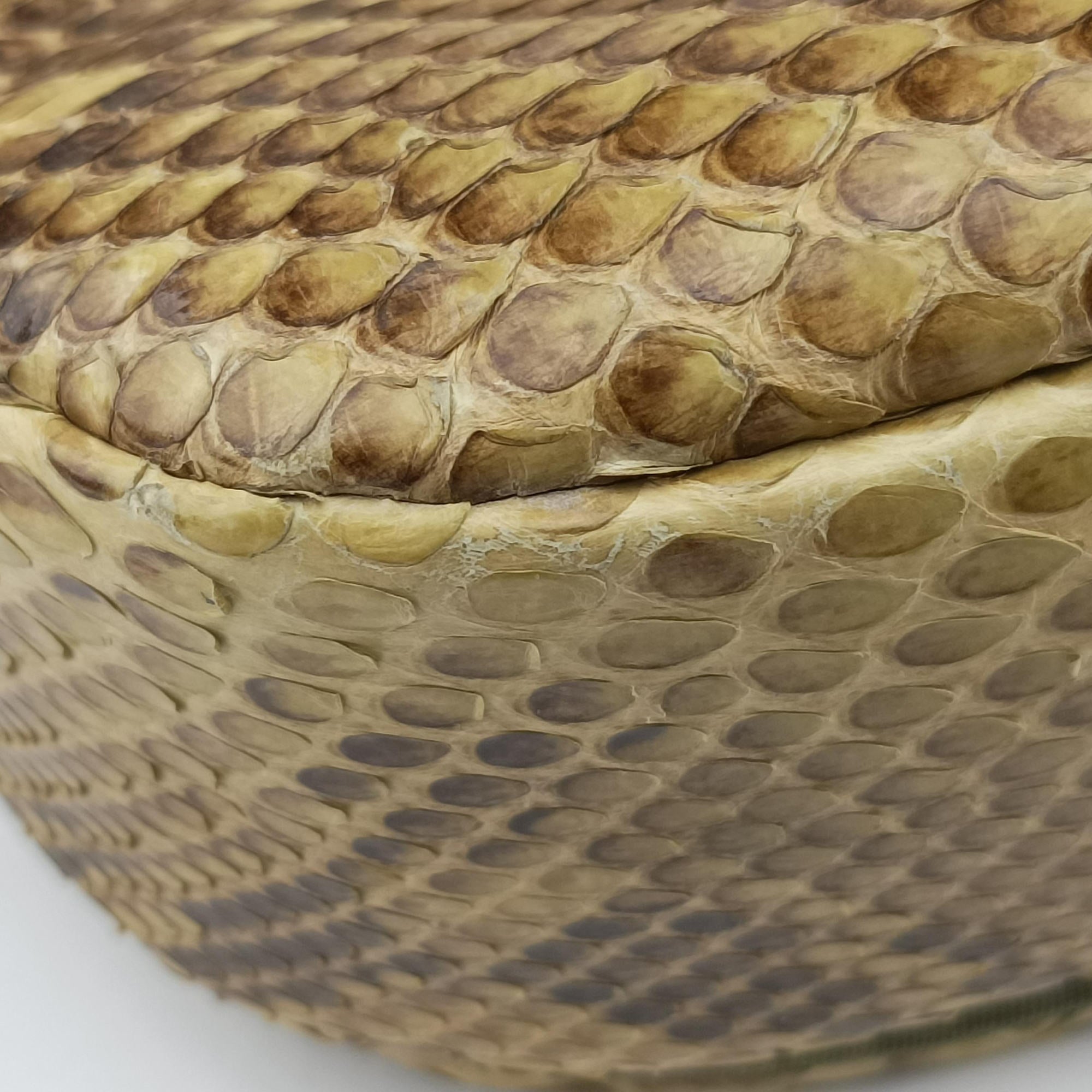Malice Camel Python skin MA-0050マリス シリーズ キャメル パイソン MA-0050