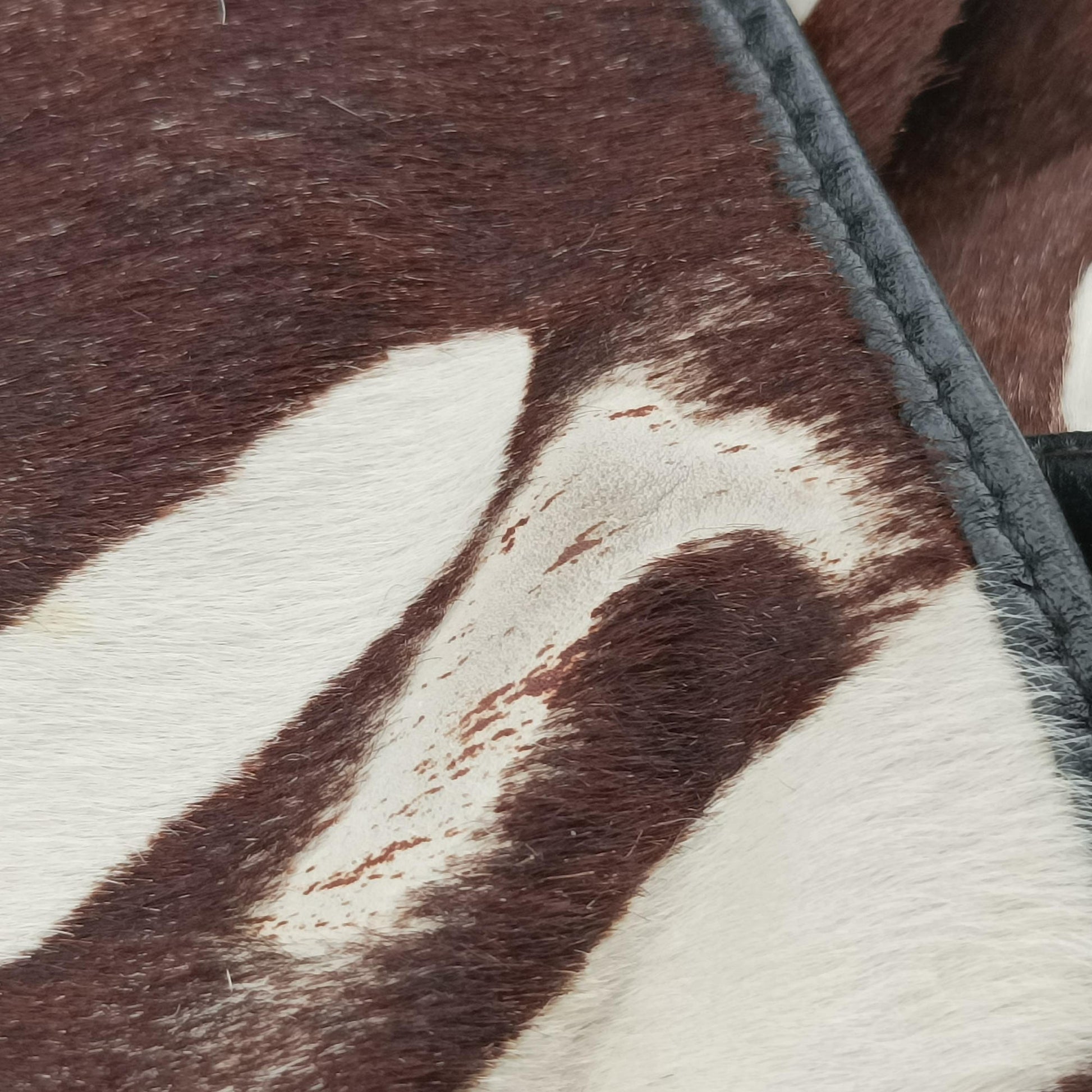 jazz club Brown×Ivory×Black ponyhair 00-MA-1027ジャズクラブ ブラウン×アイボリー×ブラック ハラコ 00-MA-1027