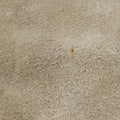 Jazz Club Beige leather 05-MA-0028ジャズクラブ ベージュ レザー 05-MA-0028