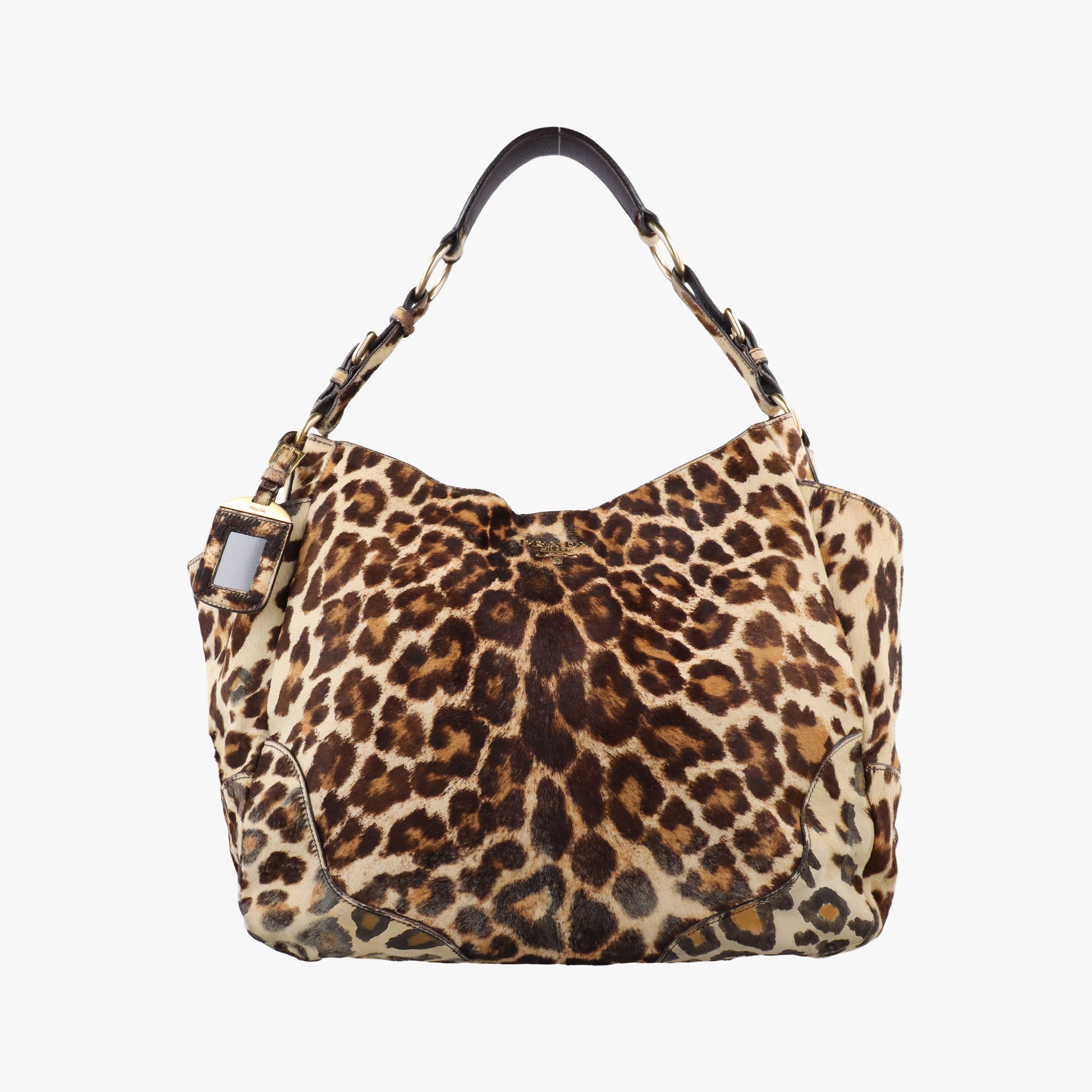 Leopard print Multicolour ponyhair　 31 1ヒョウ柄レオバード マルチカラー ハラコ 31 1