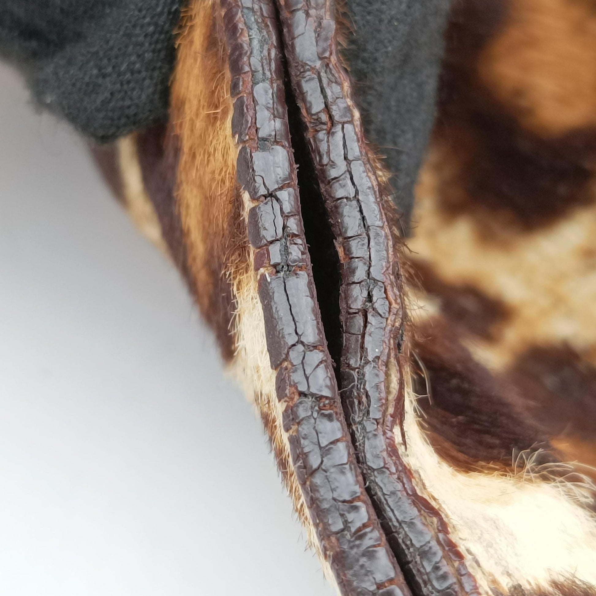 Leopard print Multicolour ponyhair　 31 1ヒョウ柄レオバード マルチカラー ハラコ 31 1