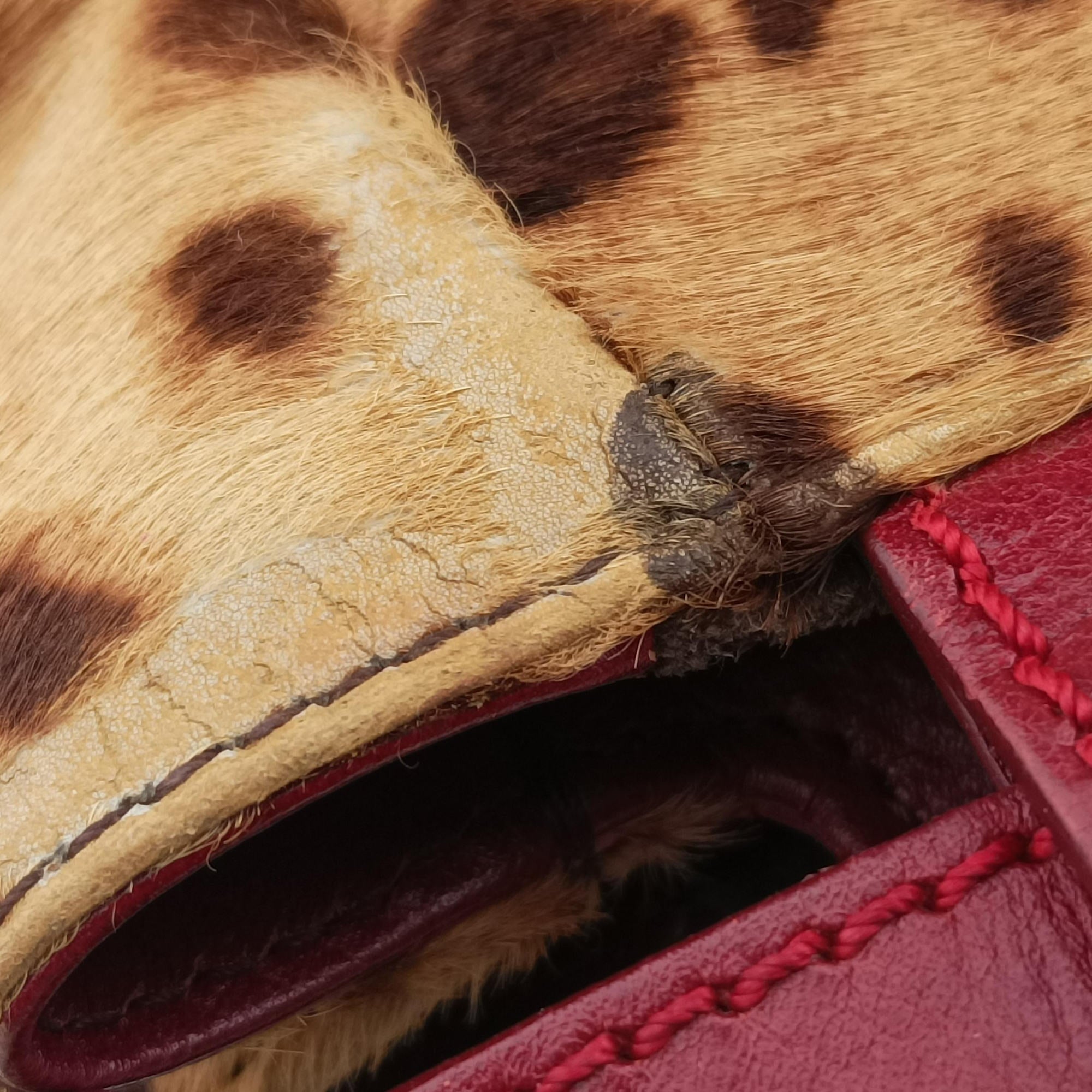 PEEKABOO Brown × Red pony hair× Leather 8BN226 8BN226-GXE-119-2372ピーカブー ブラウン xレッド ハラコ xレザー 8BN226 8BN226-GXE-119-2372