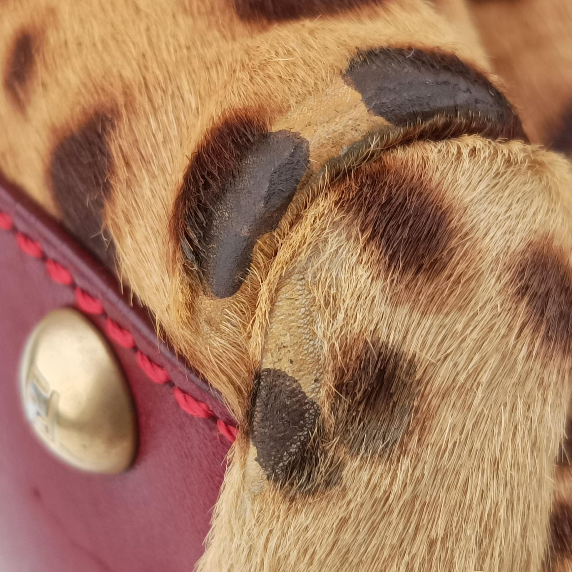 PEEKABOO Brown × Red pony hair× Leather 8BN226 8BN226-GXE-119-2372ピーカブー ブラウン xレッド ハラコ xレザー 8BN226 8BN226-GXE-119-2372