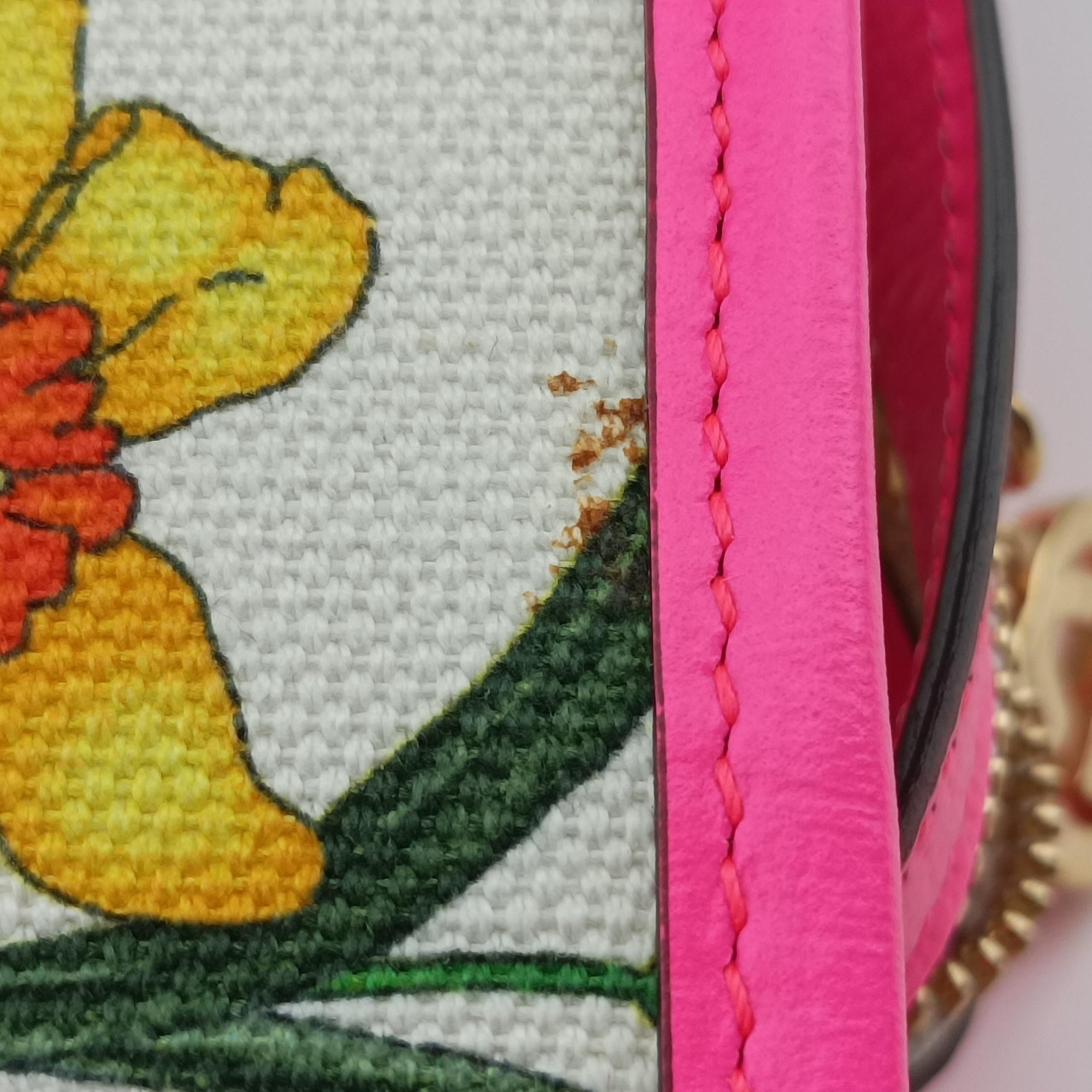Flora Multicolour Canvas×Leather 550141 H027346086フローラプリント マルチカラー キャンバス×レザー 550141 H027346086