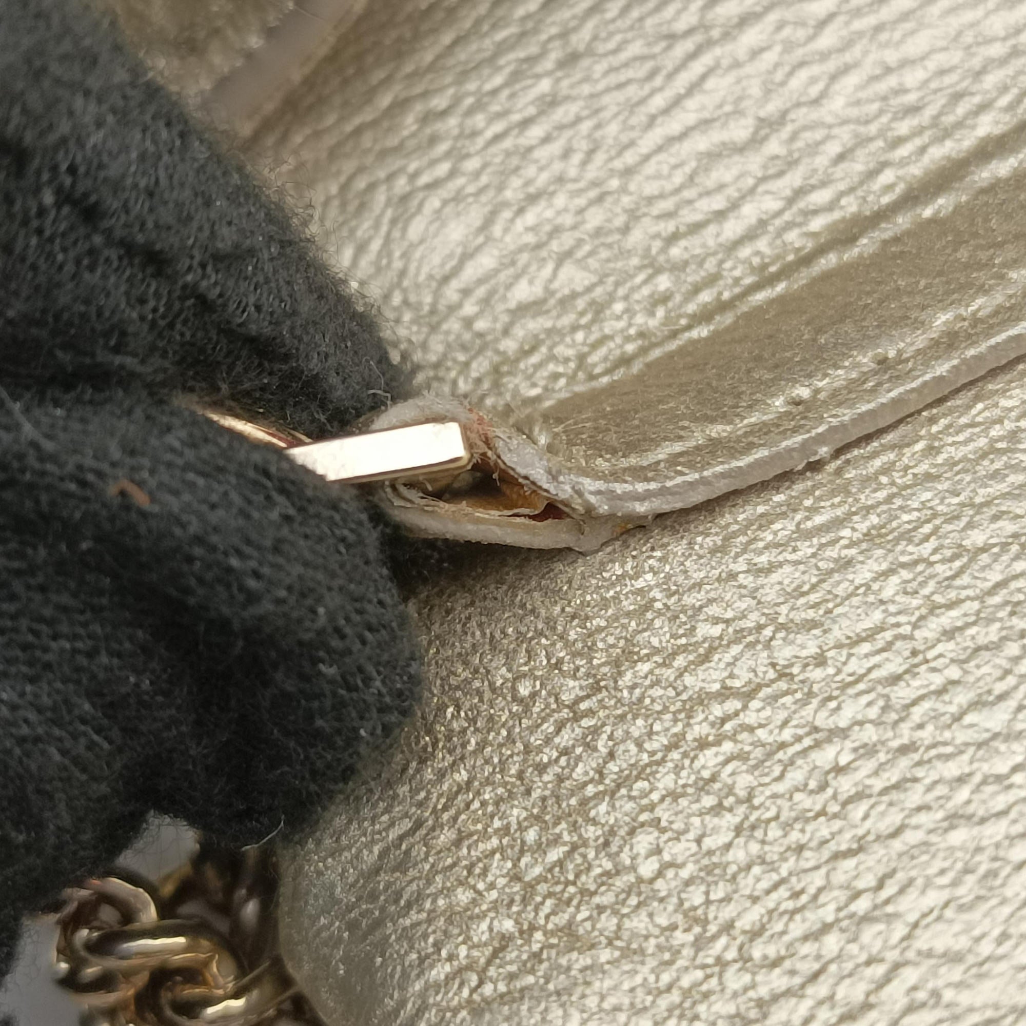 medusa Golden Leather CLG 227870703702メデューサ ゴールド レザー CLG 227870703702