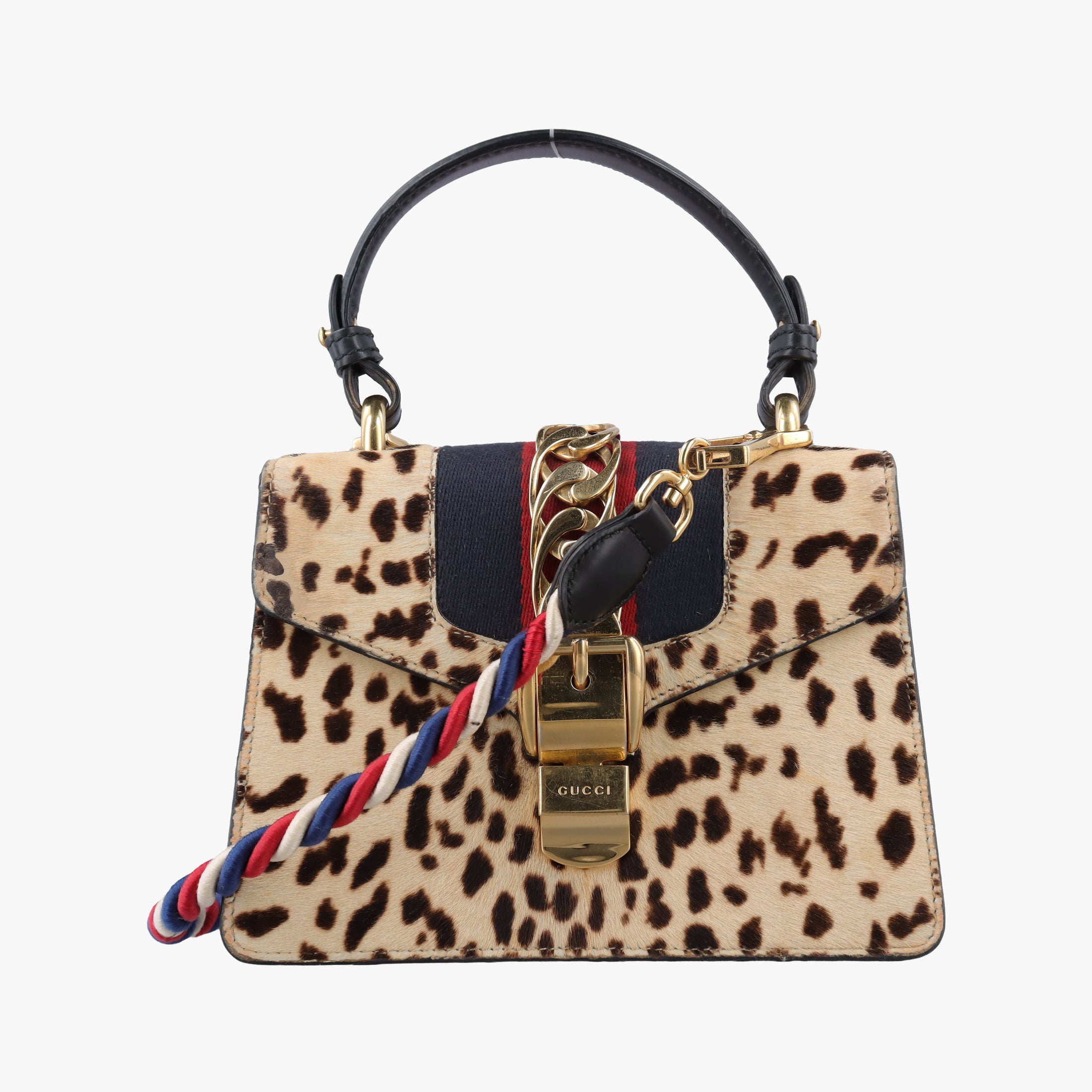 Sylvie Multicolour ponyhair×Leather 470270 A022338808シルヴィ マルチカラー ハラコ×レザー 470270 A022338808