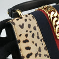 Sylvie Multicolour ponyhair×Leather 470270 A022338808シルヴィ マルチカラー ハラコ×レザー 470270 A022338808