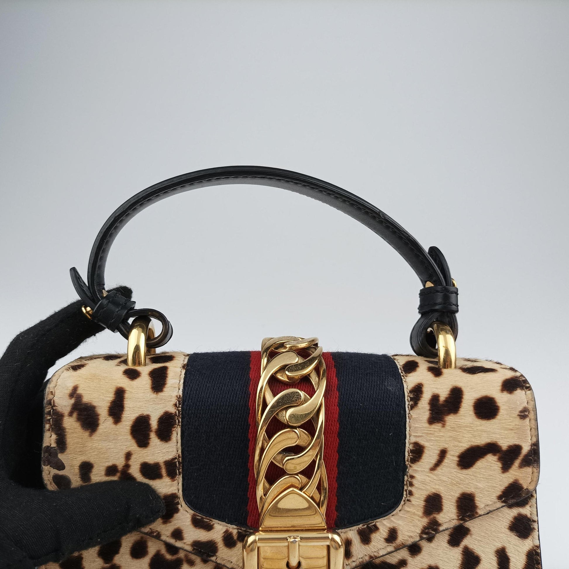 Sylvie Multicolour ponyhair×Leather 470270 A022338808シルヴィ マルチカラー ハラコ×レザー 470270 A022338808