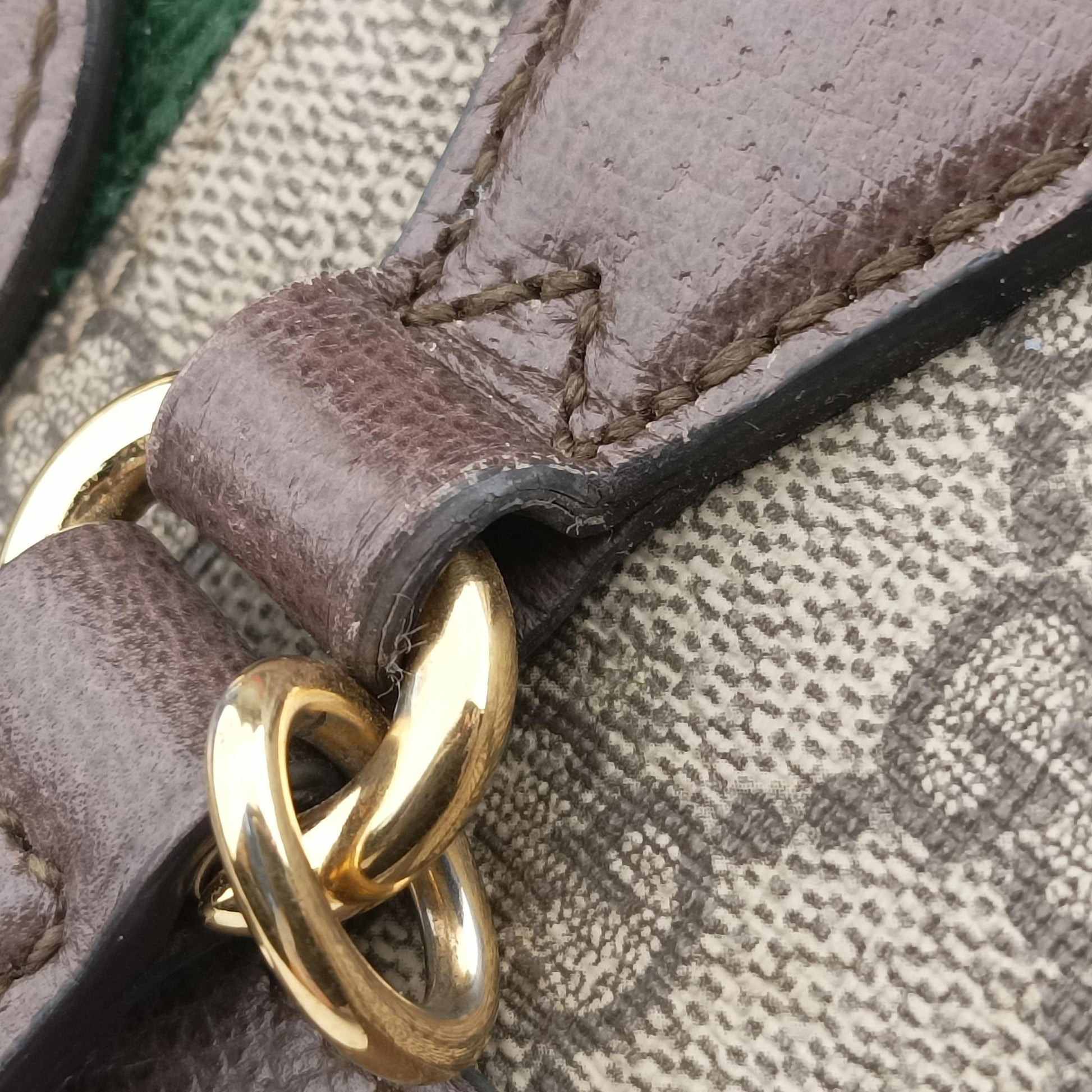 OPHIDIA Beige×Brown×Red×Green PVC coated canvas×Leather 524537 C026468528オフィディア ベージュ×ブラウン×レッド×グリーン PVCコーティングキャンバス×レザー 524537 C026468528