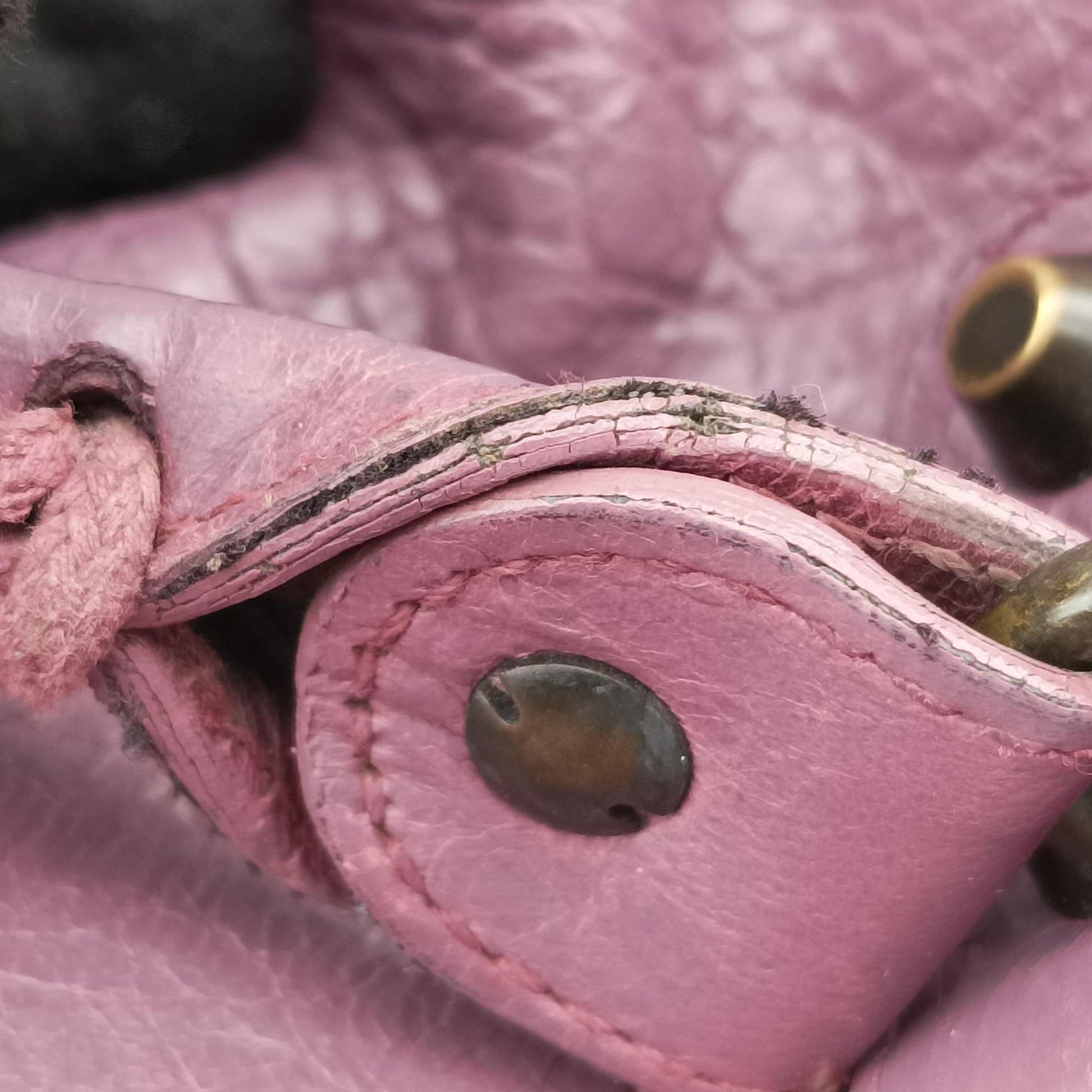 Giant City Purple lambskin 235216.5011 213048ジャイアントシティ パープル ラムスキン 235216.5011 213048