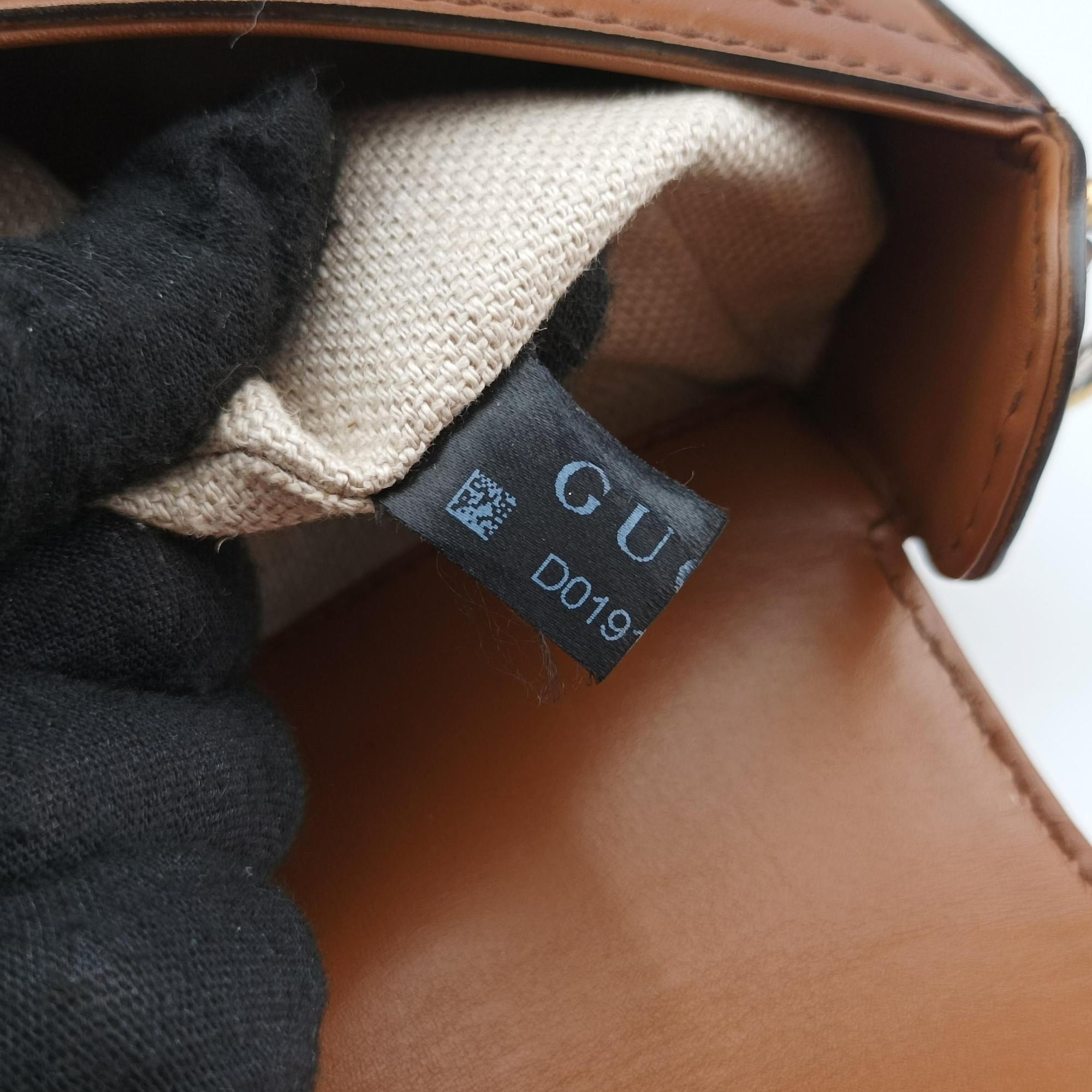 Lady Web Brown canvas×leather 384821 D019192009レディ ウェブ ブラウン キャンバス x レザー 384821 D019192009