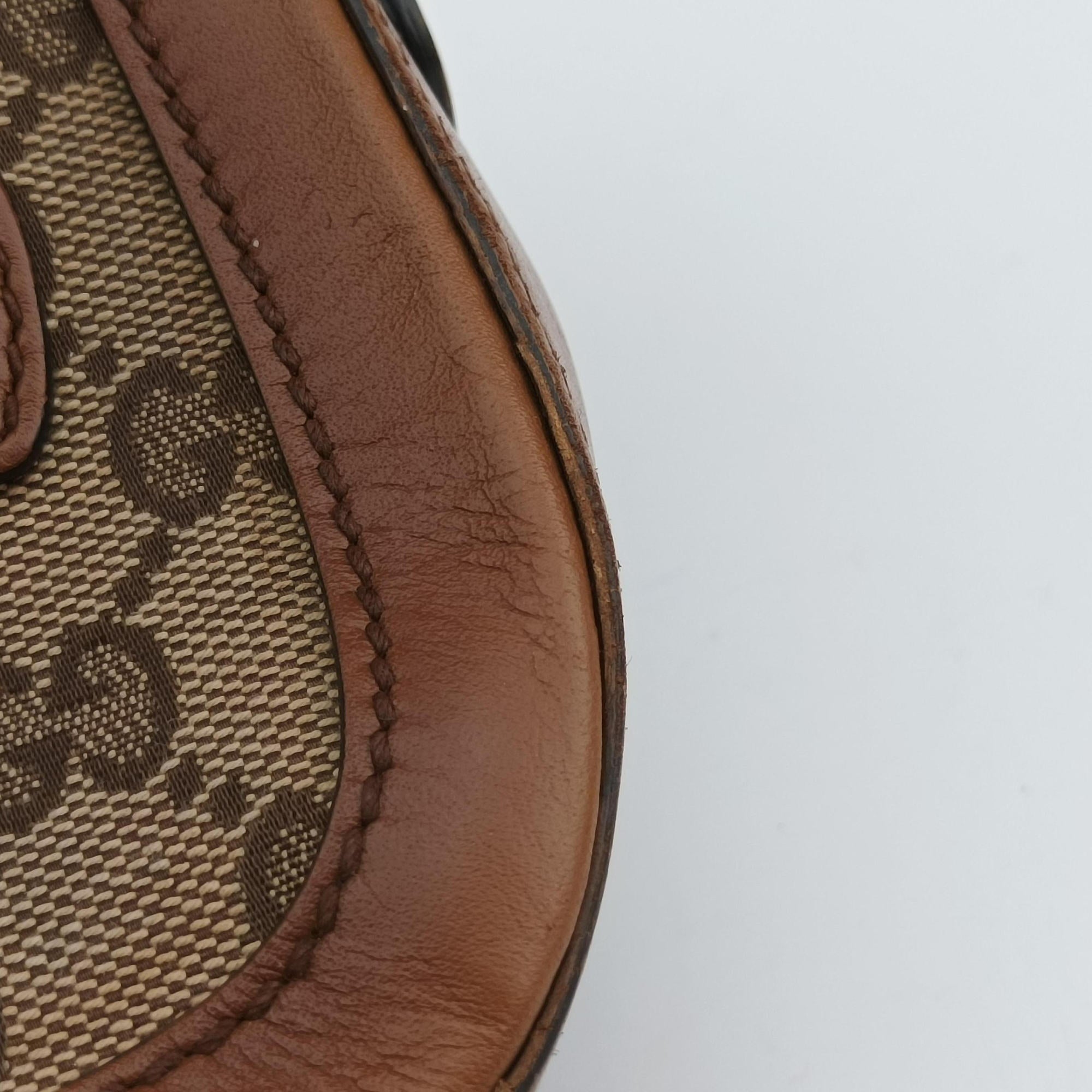 Lady Web Brown canvas×leather 384821 D019192009レディ ウェブ ブラウン キャンバス x レザー 384821 D019192009
