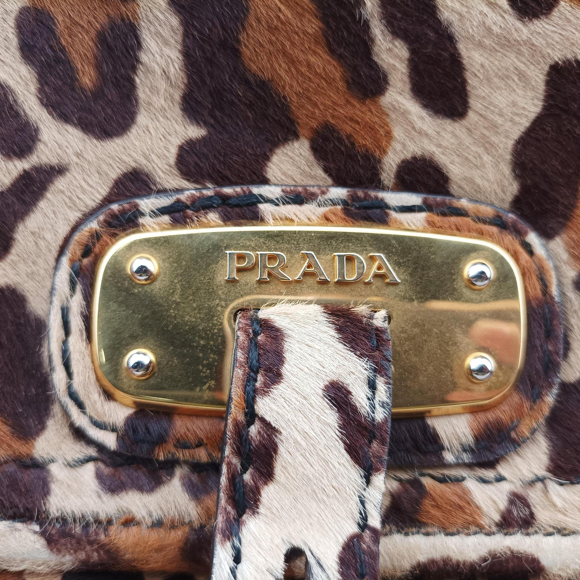 Leopard Print Brown×Multicolour ponyhair 123レオパード プリント ブラウン×マルチカラー ハラコ 123