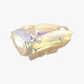 Christopher GM Prism PVC vinyl M44766 RI2109 IC Chipクリストファー GM プリズム PVC ビニール M44766 RI2109 ICチップ