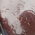 Brea MM AMARANTE Vernis M91619 VI3151ブレアMM アマラント ヴェルニ M91619 VI3151