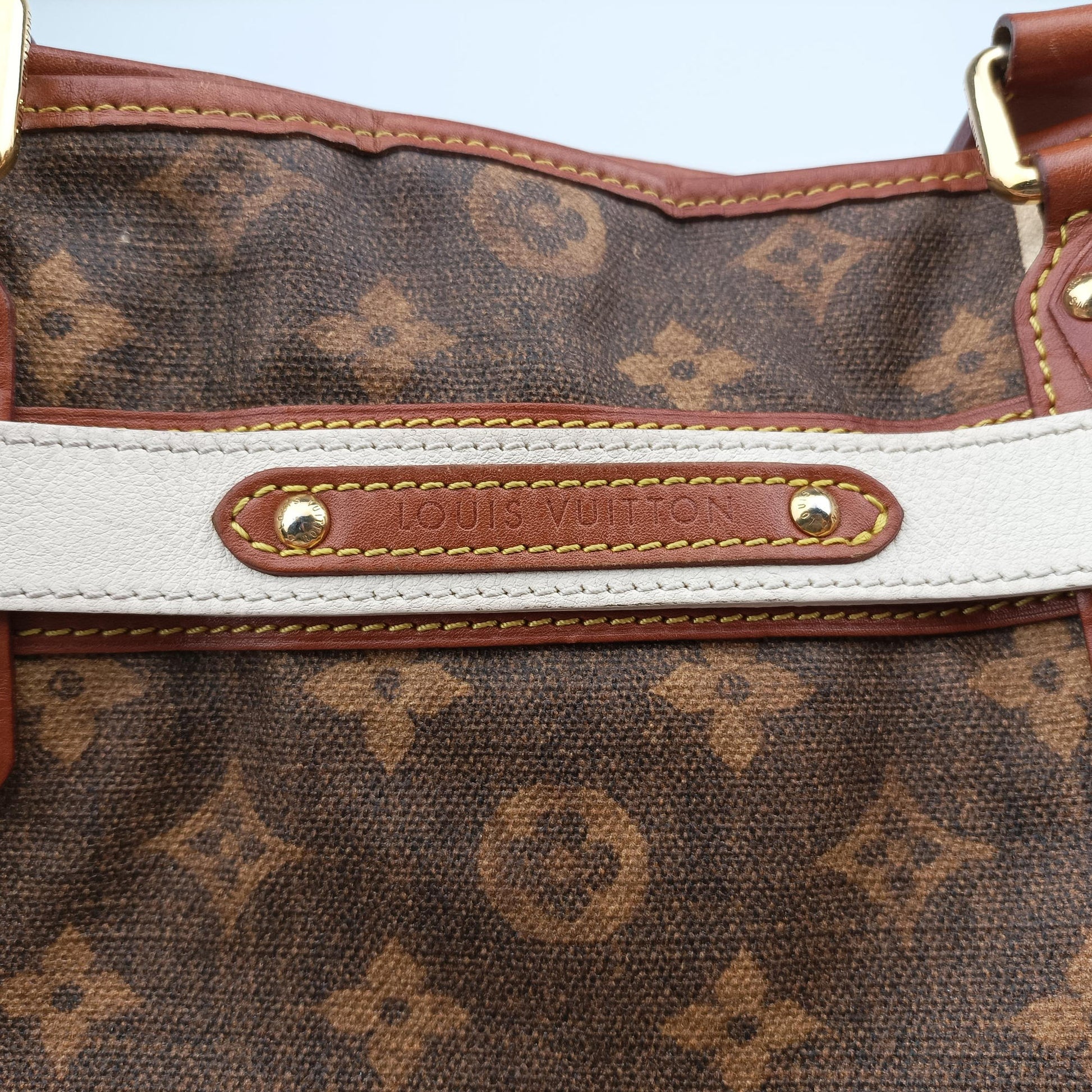 Monogram Tisse Sac Rayeur PM multicolor Monogram Tisse Canvas M56386 SP5007モノグラム ティッセ サック ラヨール PM マルチカラー モノグラムティセキャンバス M56386 SP5007