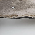 Charlotte Hobo Brown×White Leather×canvas 203504 G6226962シャーロット ブラウン×ホワイト レザー×キャンバス 203504 G6226962