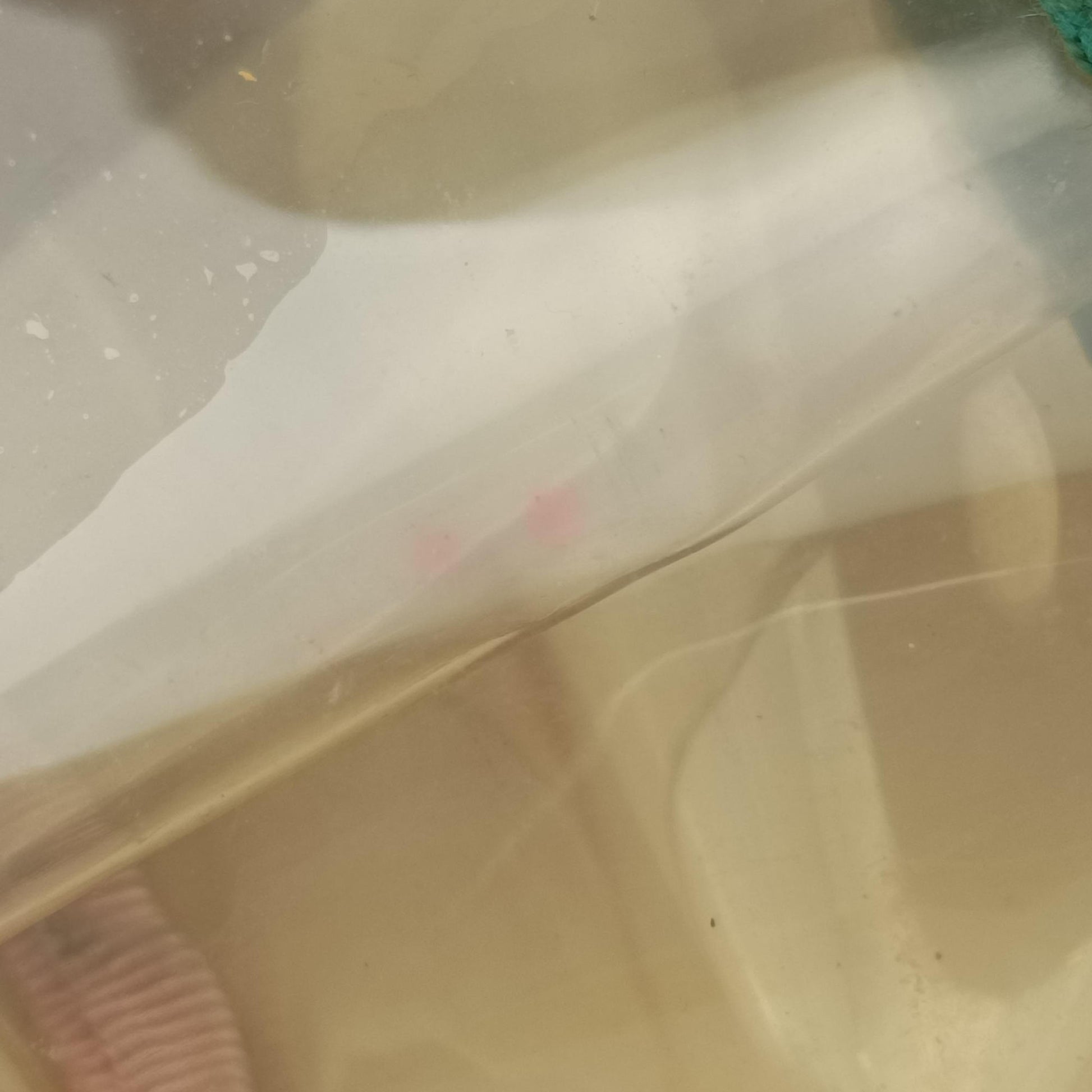 OPHIDIA Pink×Transparent PVC coated canvas 517350 オフィディア ピンク×クリア PVCコーティングキャンバス 517350 