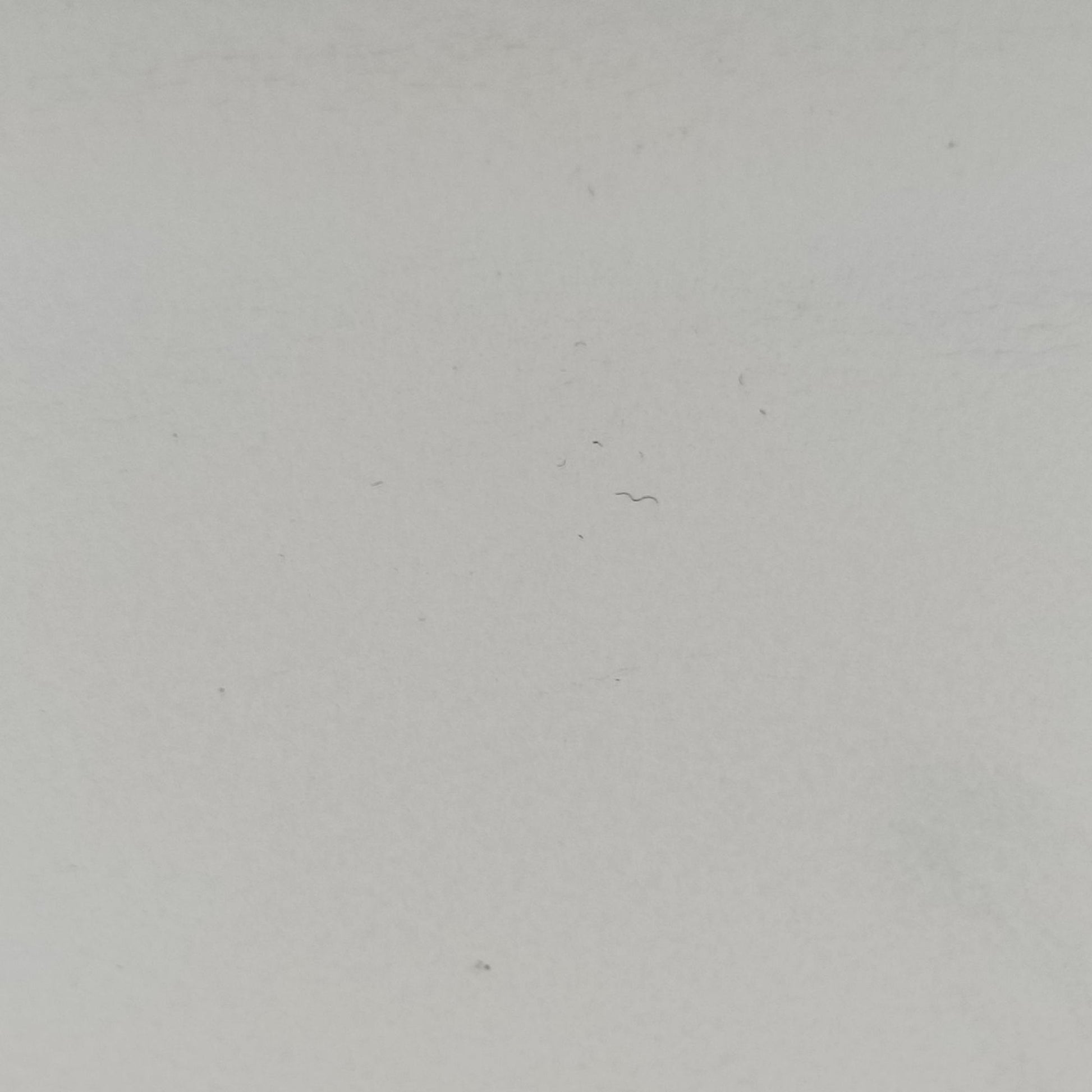 Broadway Pearl Bee White Leather 453778 E022493274ブロードウェイ パール ビー ホワイト レザー 453778 E022493274