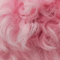 Shearling CC Hook Card Holder Pink wool AP2397 31626389シアリングCCフックカードホルダー ピンク ウール AP2397 31626389