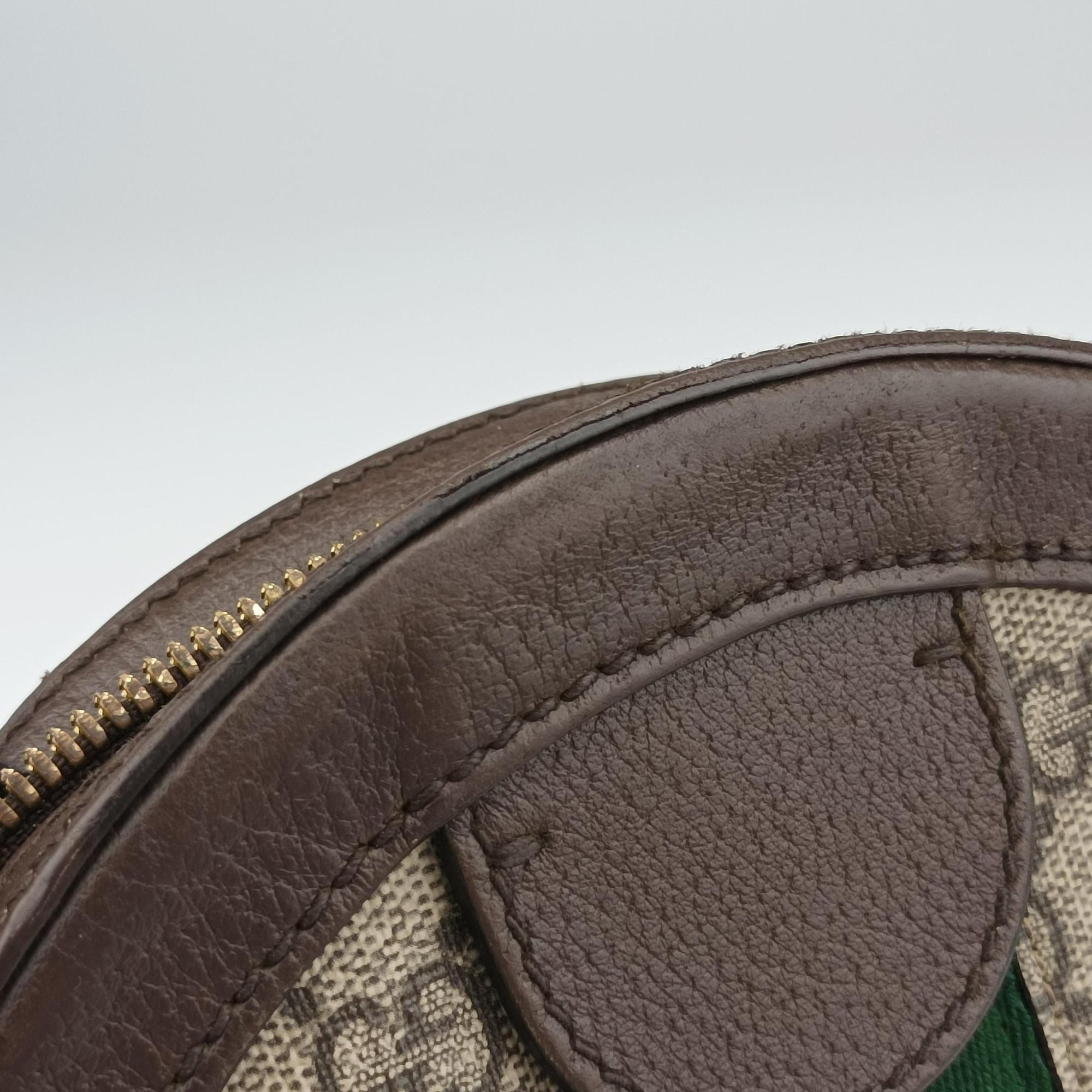 Ophidia Brown×beige PVC coated canvas×Leather 550618 H031329050オフィディア ブラウン×ベージュ PVCコーティングキャンバス×レザー 550618 H031329050