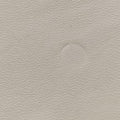 Medusa Palazzo White lambskin 990 130 998 487メデューサ パラッツォ ホワイト ラムスキン 990 130 998 487