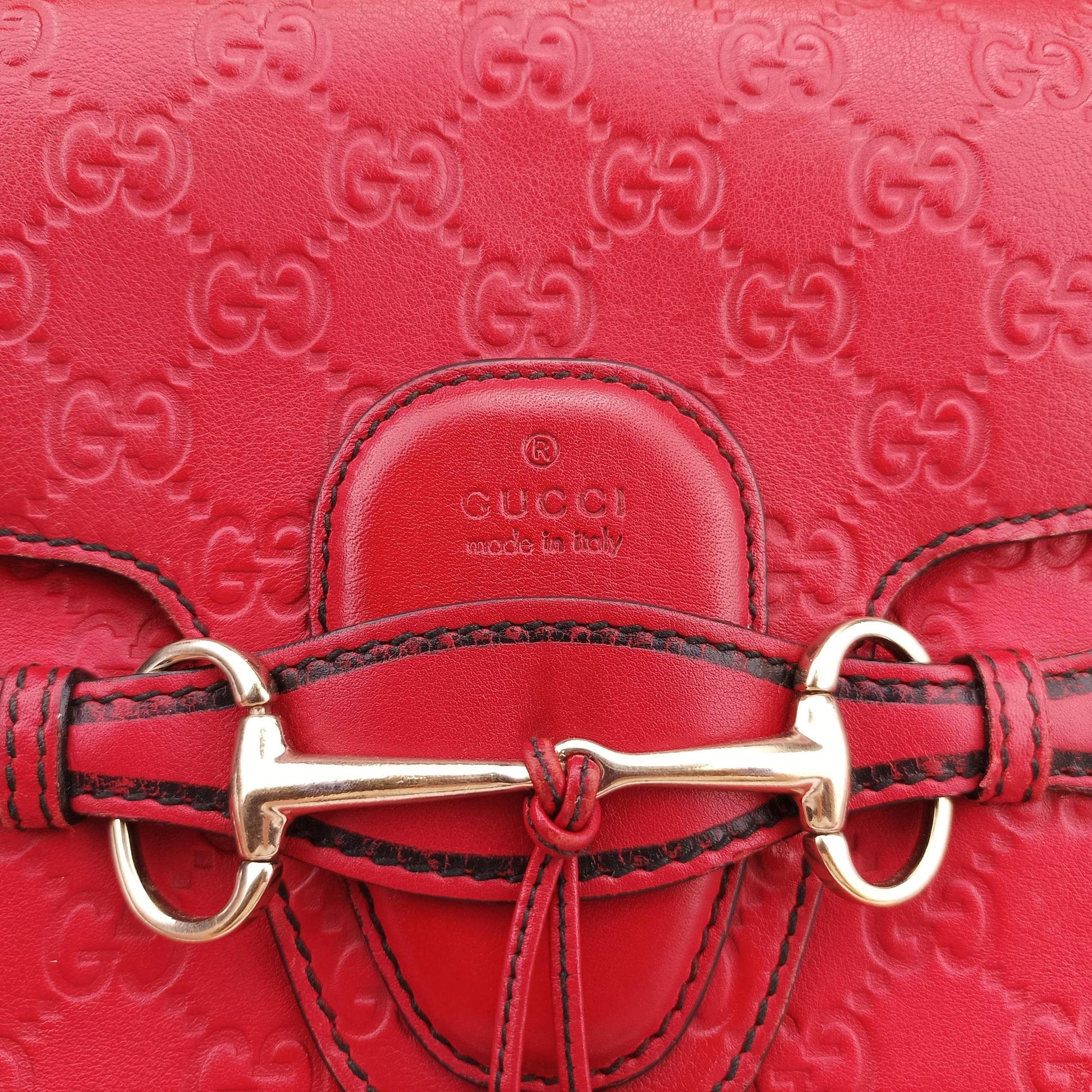 Emily Red Leather 295403 C012786601エミリー レッド レザー 295403 C012786601