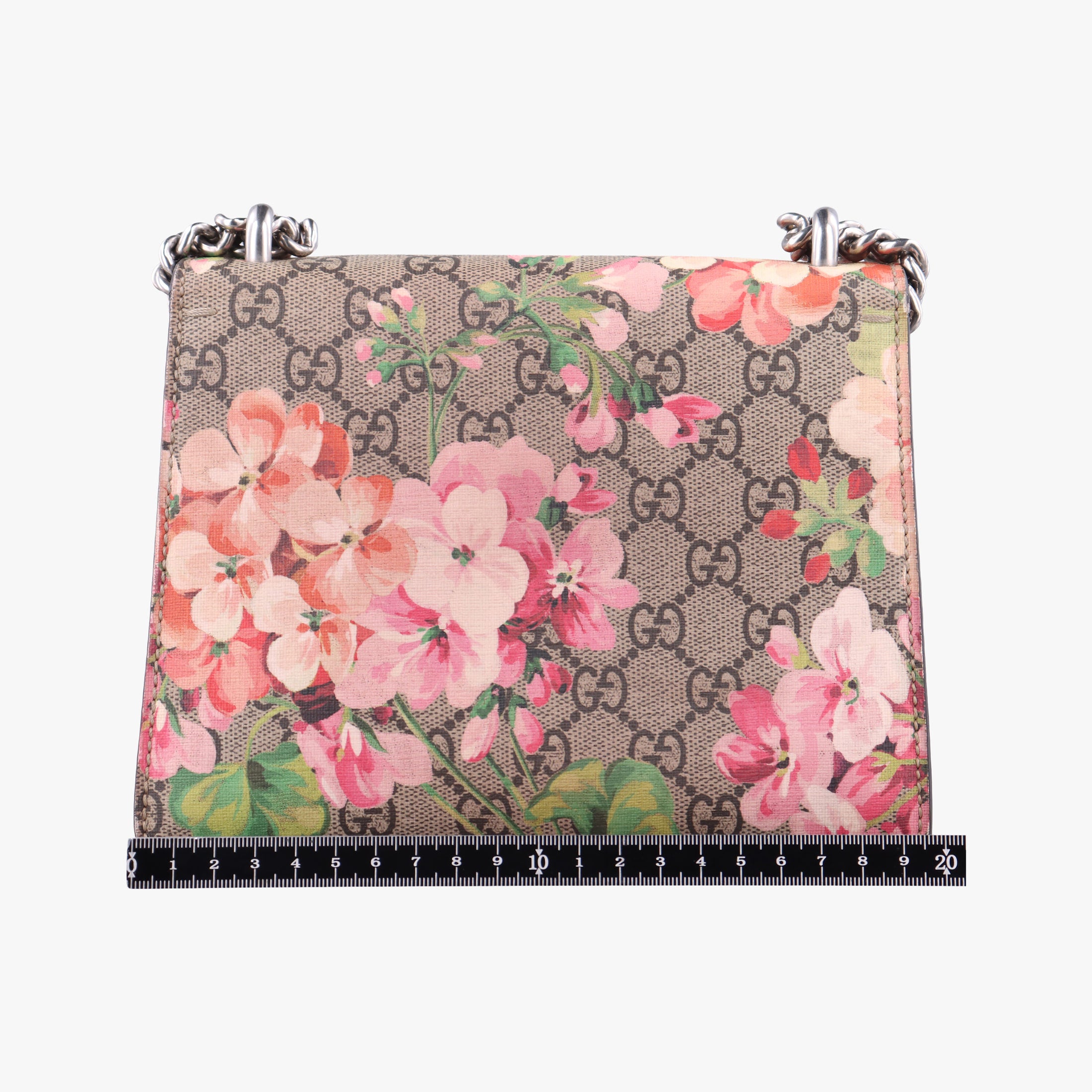 Dionysus Multicolour PVC coated canvas 421970 C023651224ディオニュソス マルチカラー PVCコーティングキャンバス 421970 C023651224