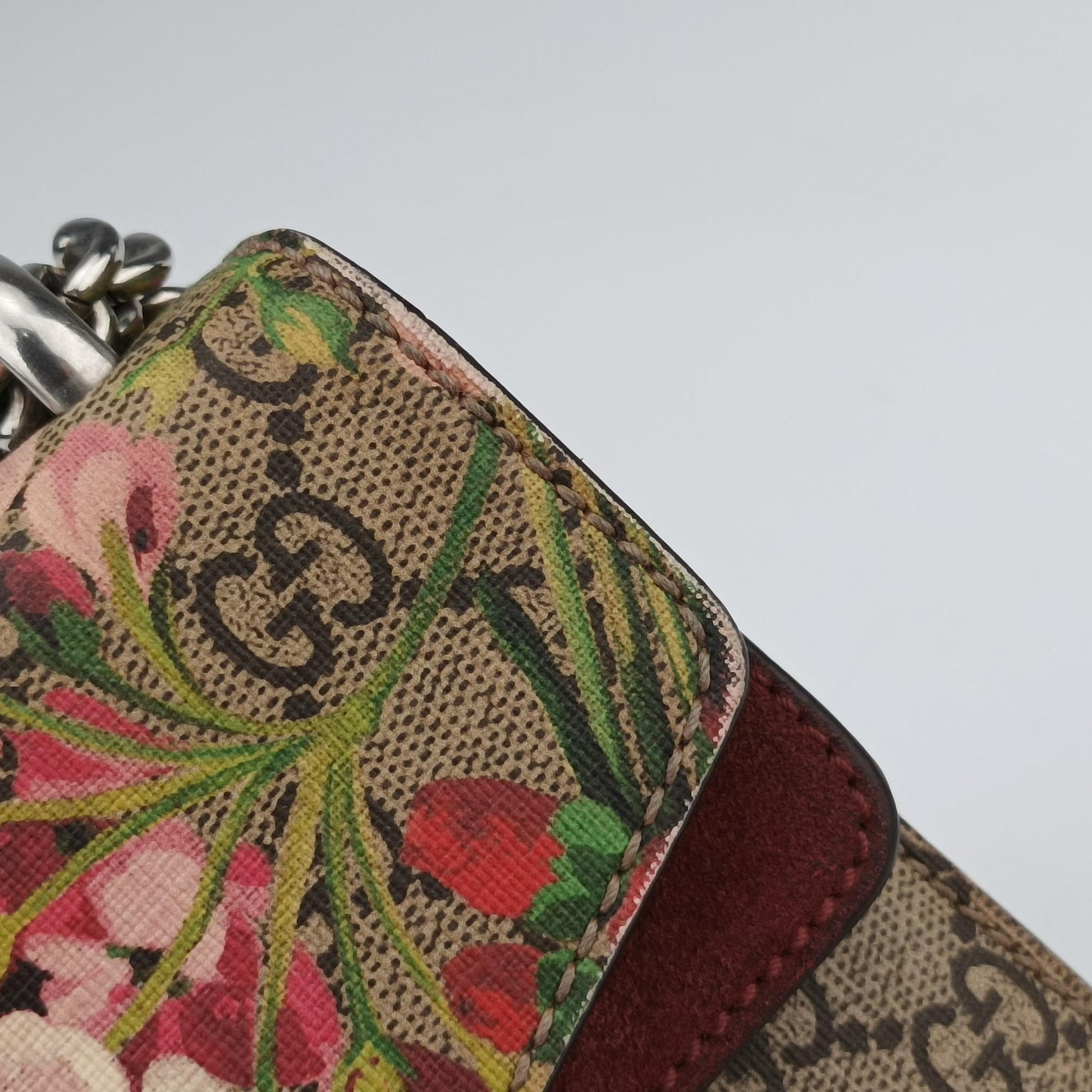 Dionysus Multicolour PVC coated canvas 421970 C023651224ディオニュソス マルチカラー PVCコーティングキャンバス 421970 C023651224