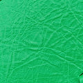 Le Cagole Green lambskin 671309.3809.R.535269ルカゴール グリーン ラムスキン 671309.3809.R.535269