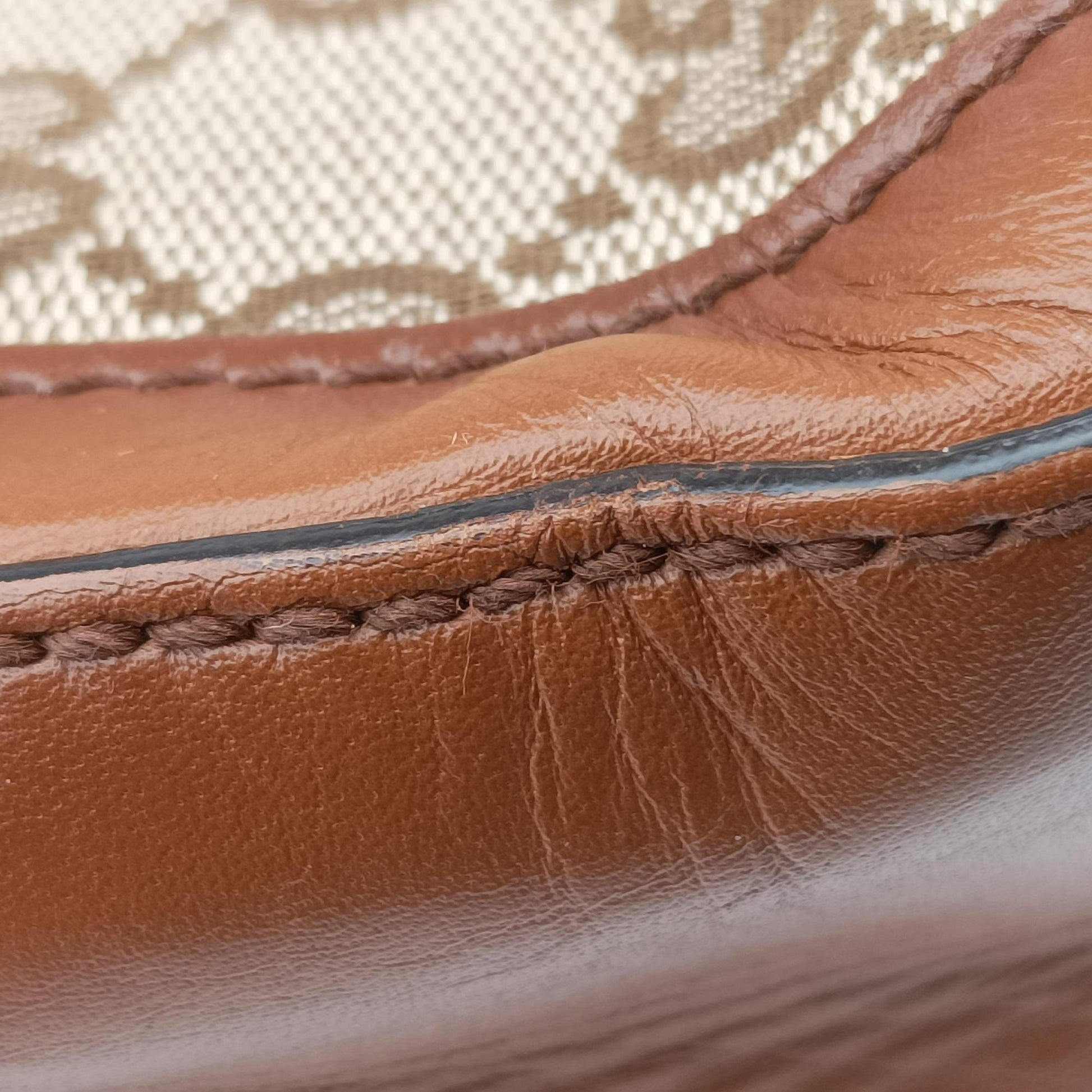 Lady Web Brown canvas×leather 383848 D019281185レディ ウェブ ブラウン キャンバス×レザー 383848 D019281185