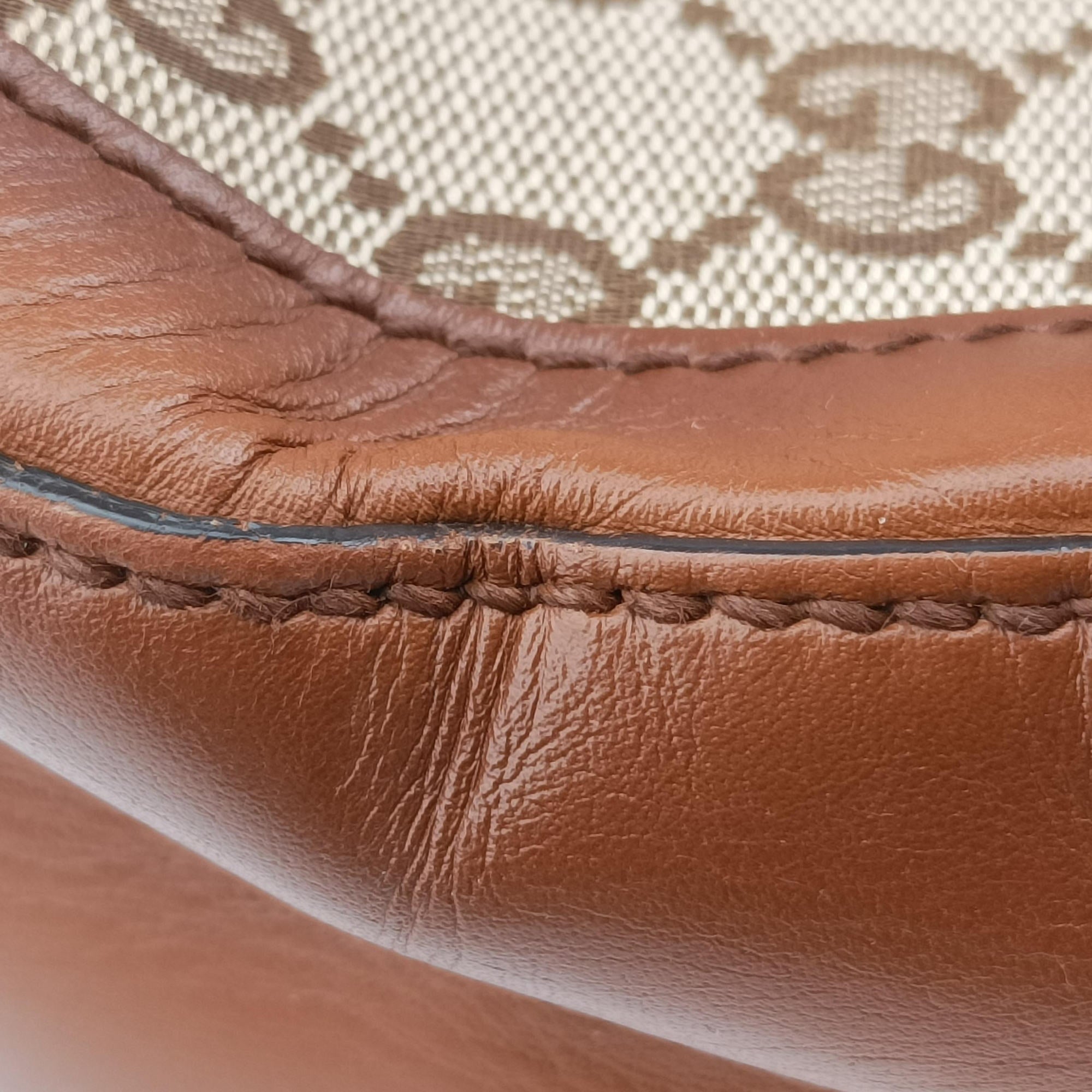Lady Web Brown canvas×leather 383848 D019281185レディ ウェブ ブラウン キャンバス×レザー 383848 D019281185
