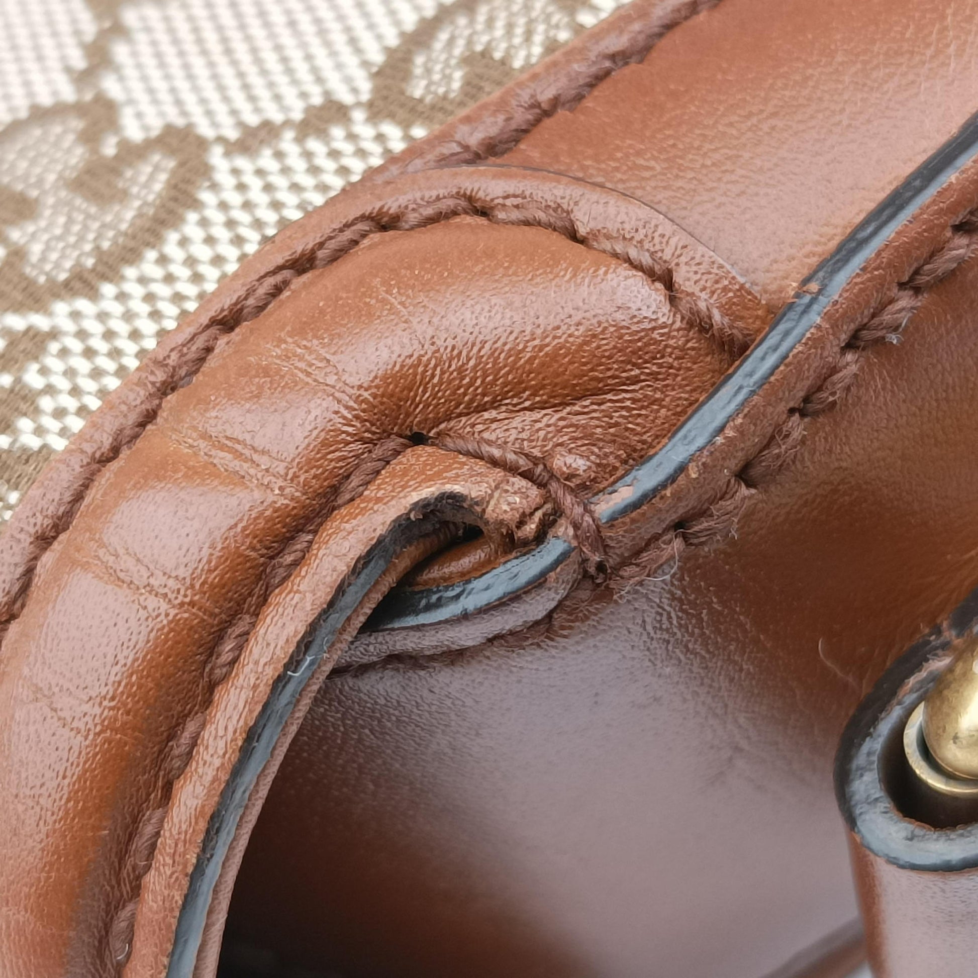 Lady Web Brown canvas×leather 383848 D019281185レディ ウェブ ブラウン キャンバス×レザー 383848 D019281185