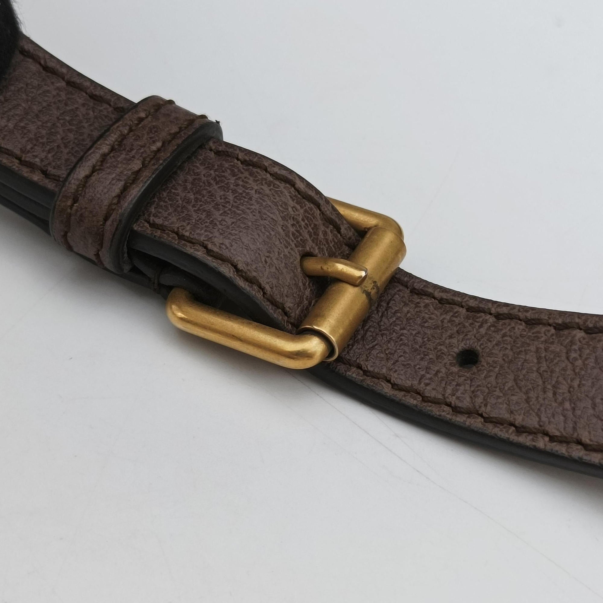 Ophidia brown×Beige PVC coated canvas×Leather 547926 G028721247オフィディア ブラウン×ベージュ PVCコーティングキャンバス×レザー 547926 G028721247