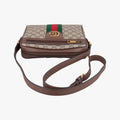 Ophidia brown×Beige PVC coated canvas×Leather 547926 G028721247オフィディア ブラウン×ベージュ PVCコーティングキャンバス×レザー 547926 G028721247
