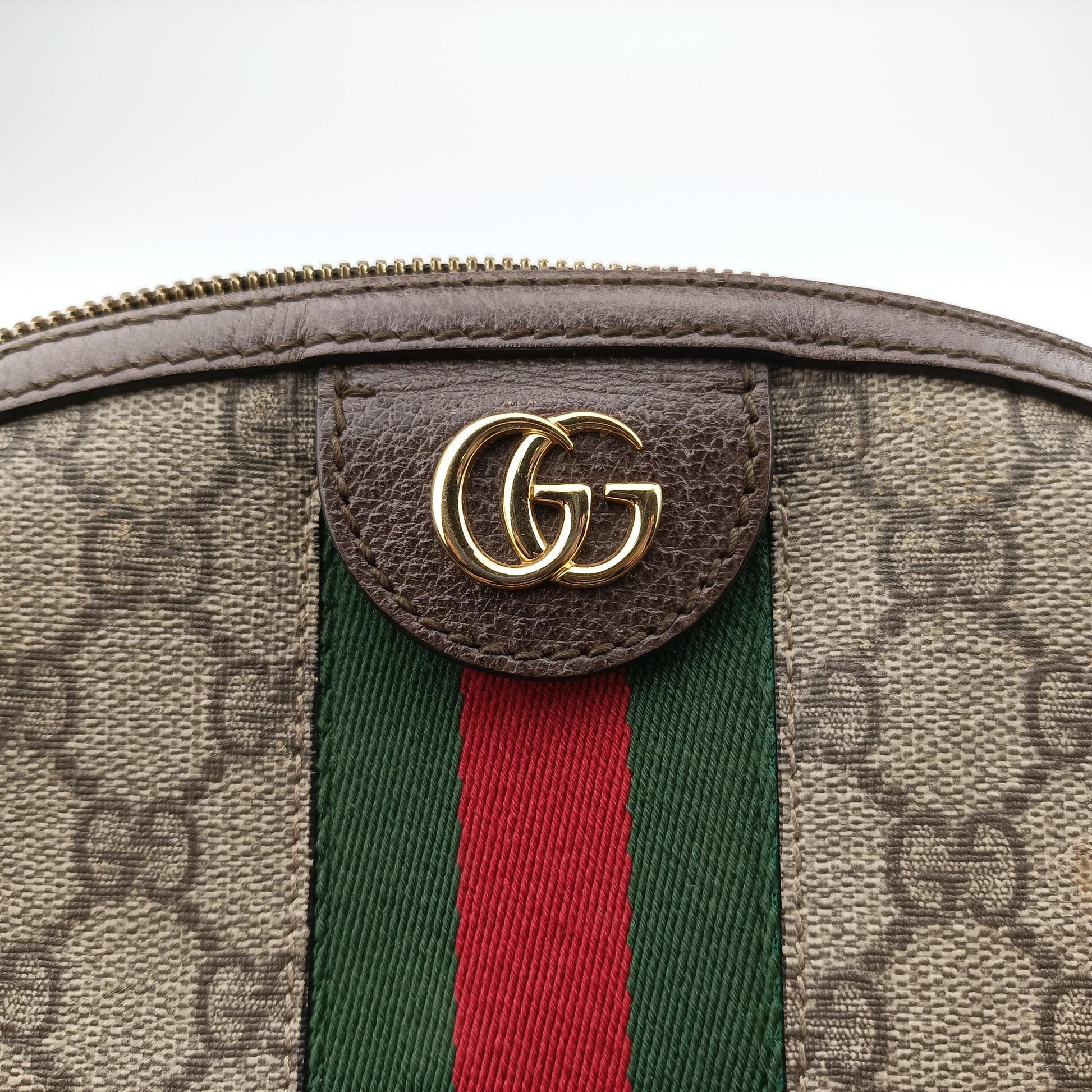 Ophidia brown×red×green PVC coated canvas×Leather 499621 E024005782オフィディア ブラウン×レッド×グリーン PVCコーティングキャンバス×レザー 499621 E024005782