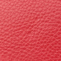Medusa Red Leather メデューサ レッド レザー 