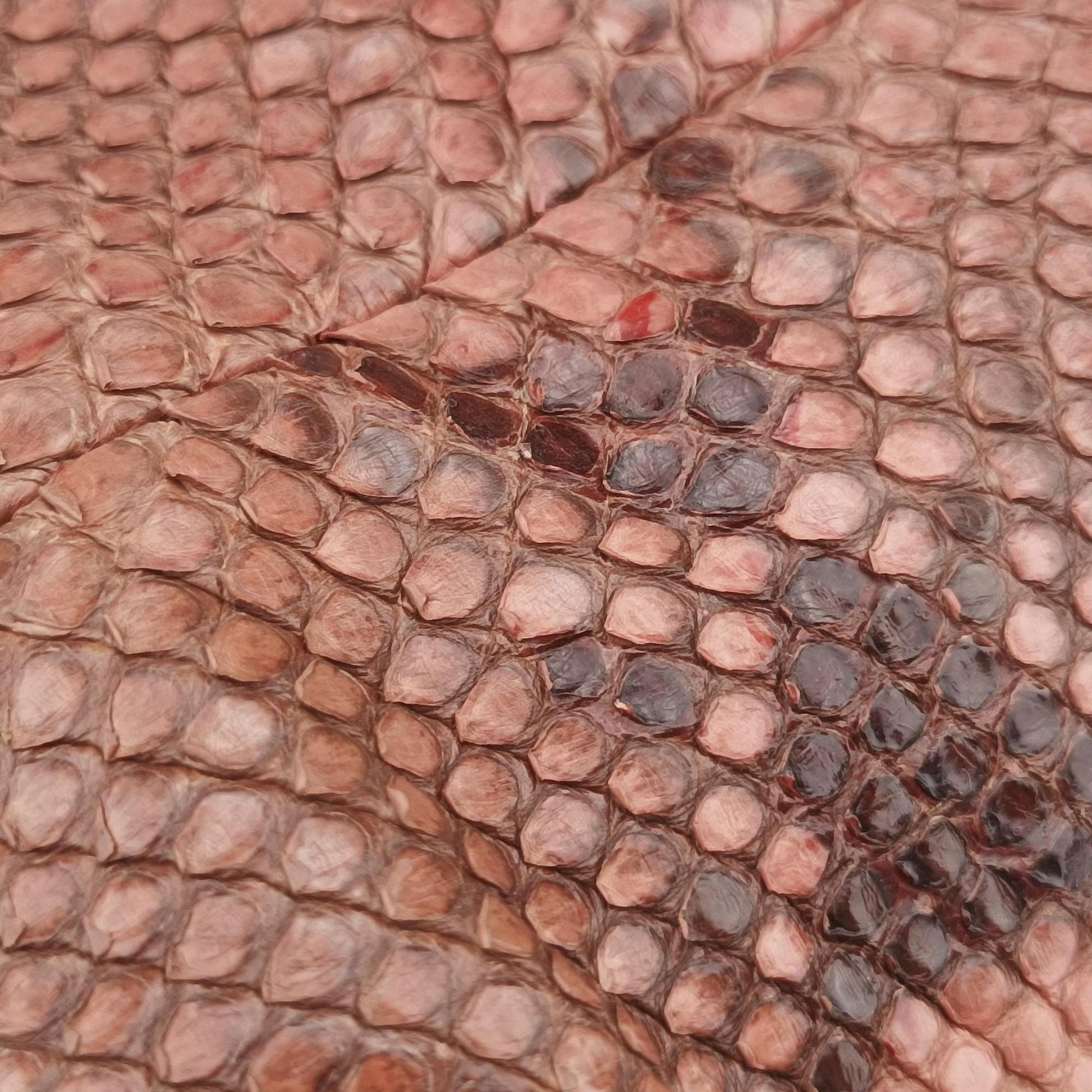 Bamboo Pink snakeskin 169961 I0138586バンブー ピンク ヘビ革 169961 I0138586