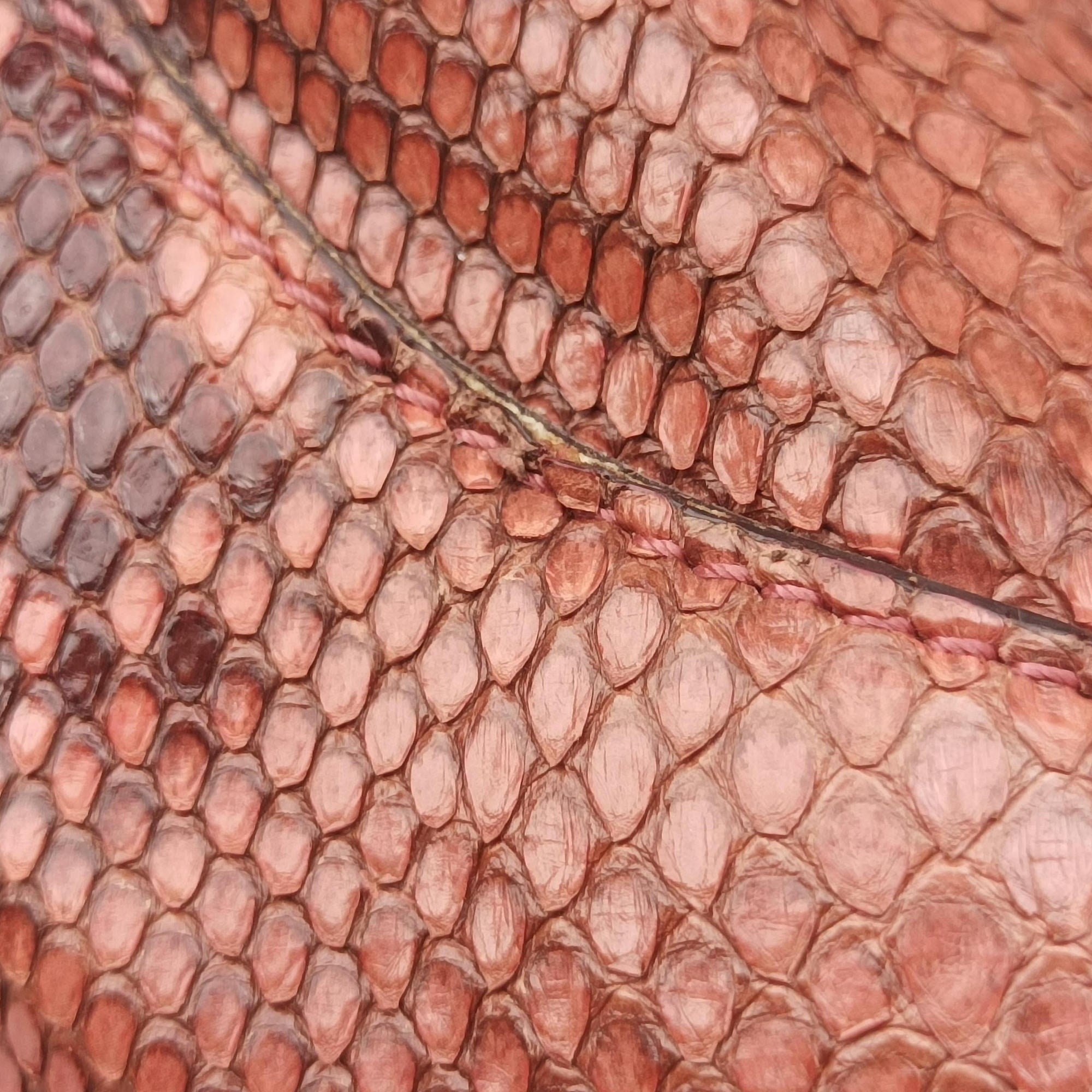 Bamboo Pink snakeskin 169961 I0138586バンブー ピンク ヘビ革 169961 I0138586